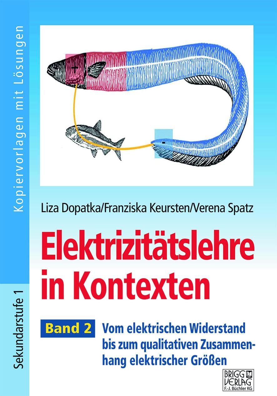 Elektrizitätslehre in Kontexten - Band 2: Vom elektrischen Widerstand bis zum qualitativen Zusammenhang elektrischer Größen Learning & Reference