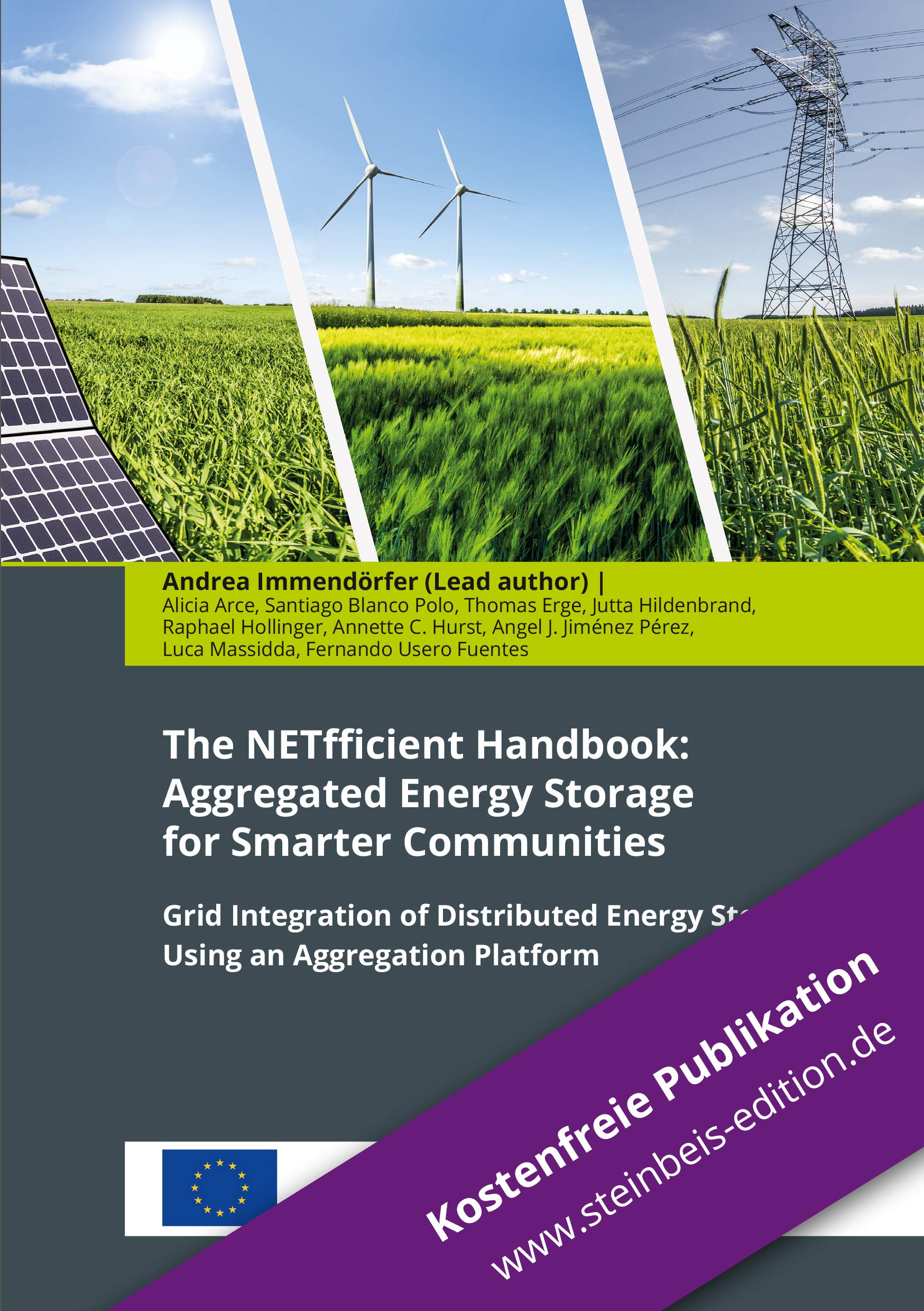 The NETfficient Handbook: Aggregated Energy Storage for Smarter Communities: Grid Integration of Distributed Energy Storage Using an Aggregation Platform (Steinbeis-Europa-Zentrum / Steinbeis 2i GmbH) Business & Technology