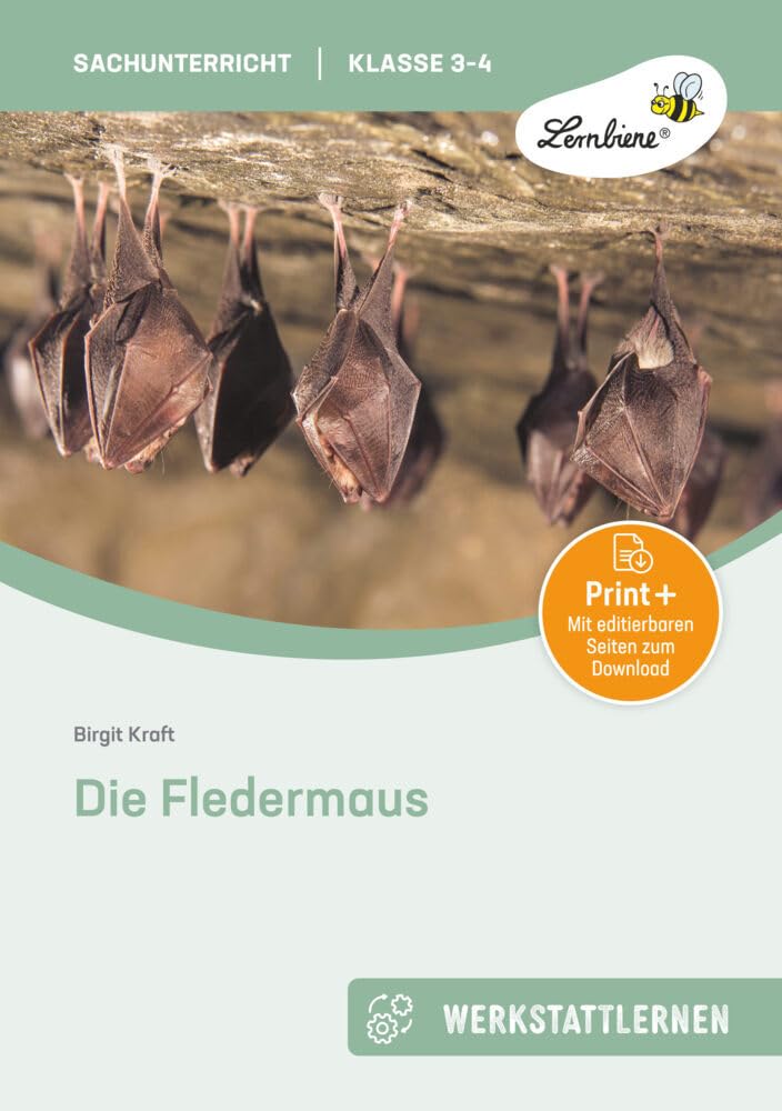 Die Fledermaus: (3. und 4. Klasse): Grundschule, Sachunterricht, Klasse 3-4 Professional & Reference Books