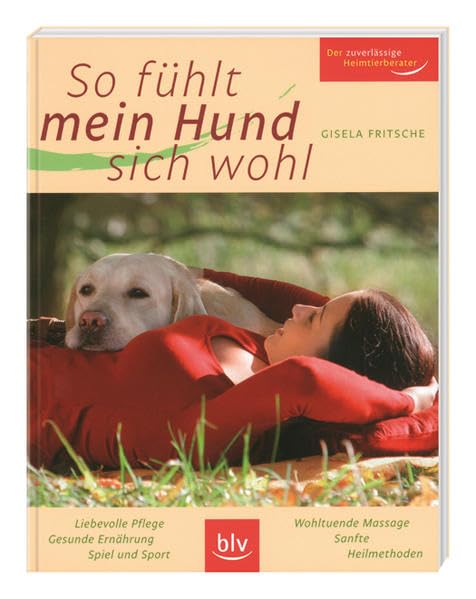 So fühlt mein Hund sich wohl Pets