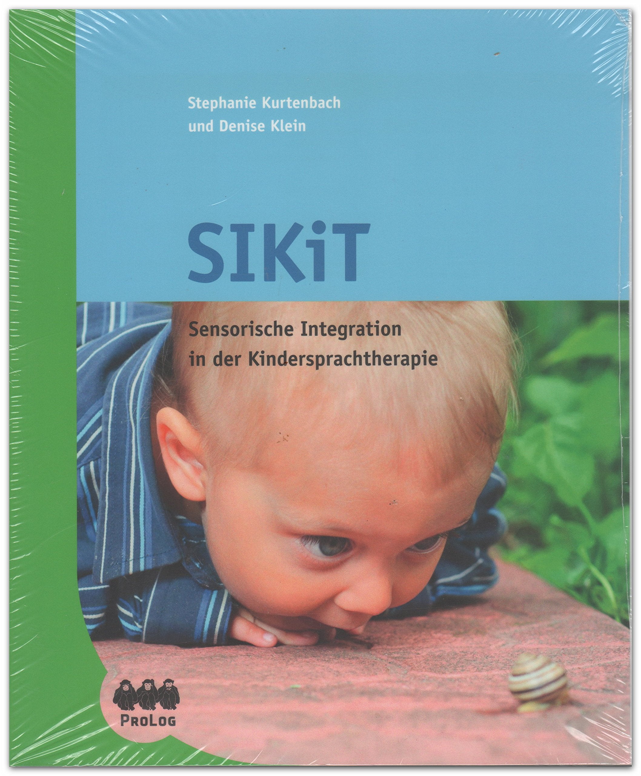 SIKiT: Sensorische Integrationstherapie in der Kindersprachtherapie Books