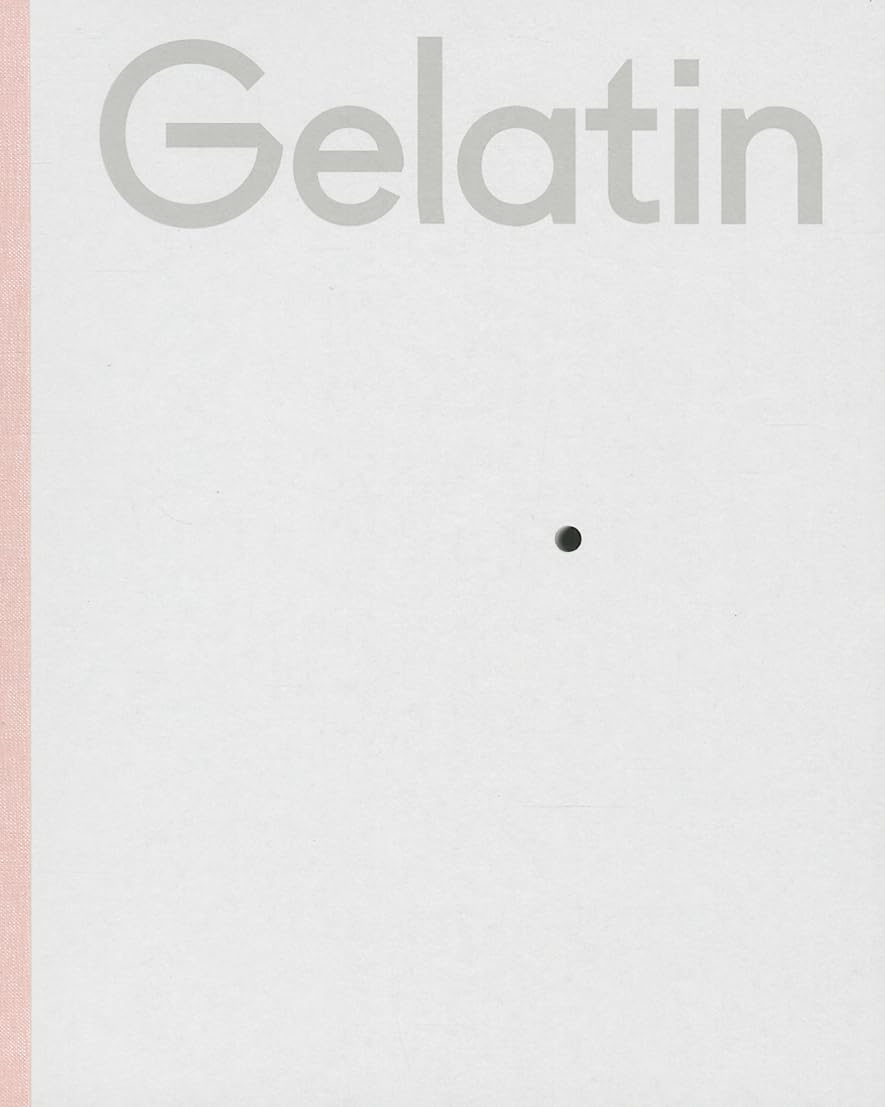 Product Image: Gelatin: Loch (Sternberg Press)