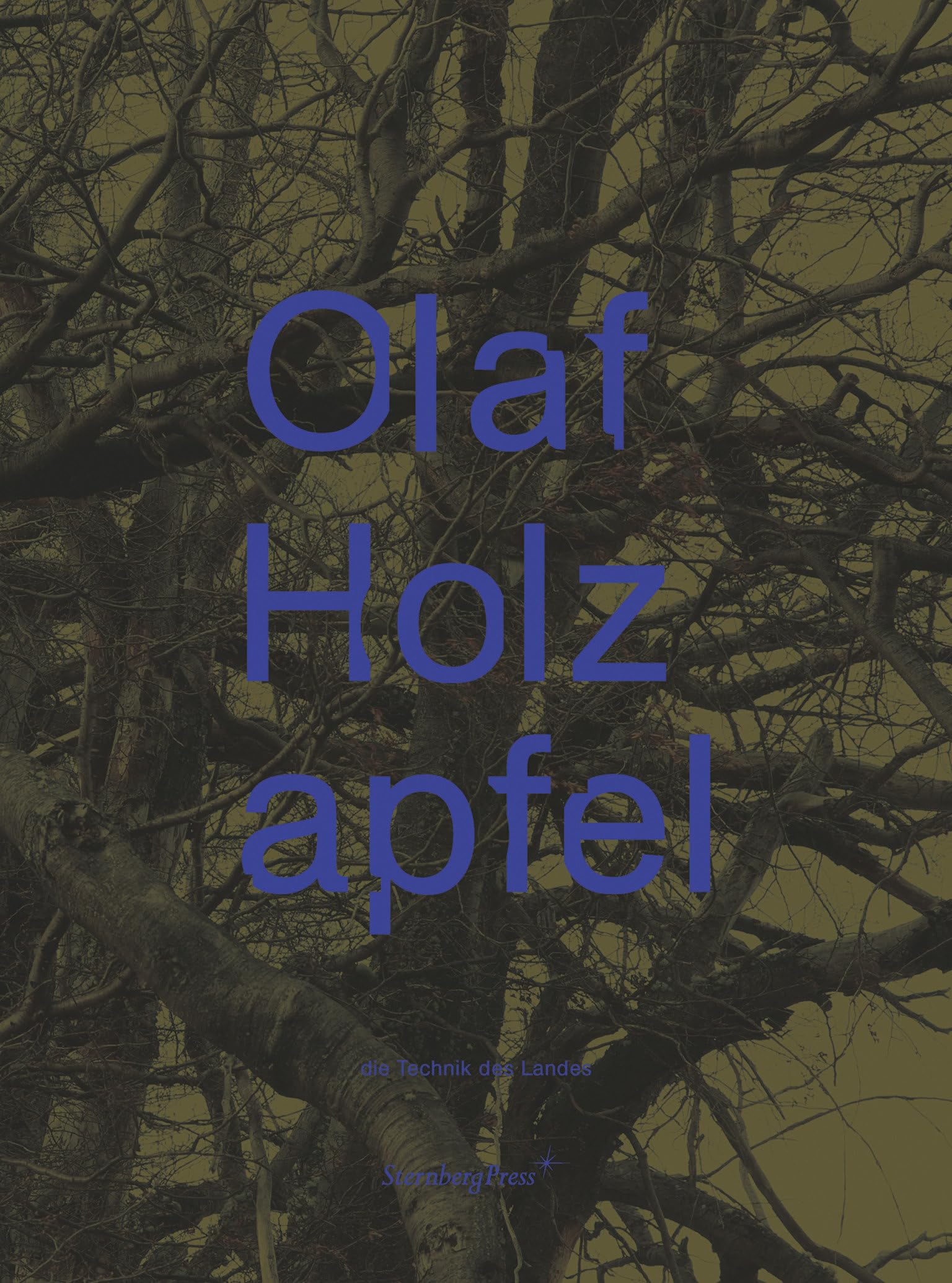 Olaf Holzapfel: Die Technik Des Landes - the Technology of the Land Film, Art & Culture