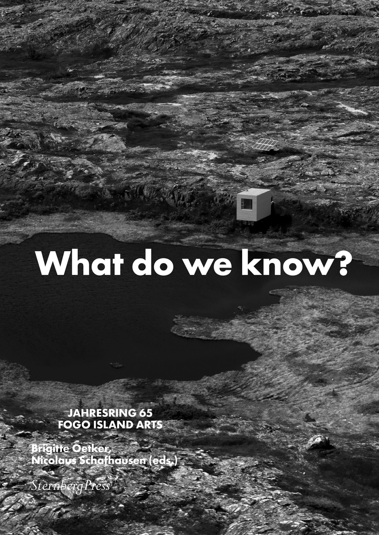 What Do We Know? What Do We Have? What Do We Miss? What Do We Love?: Jahresring 65 (Jahresring Fogo Island ARts, 65, Band 65) Film, Art & Culture