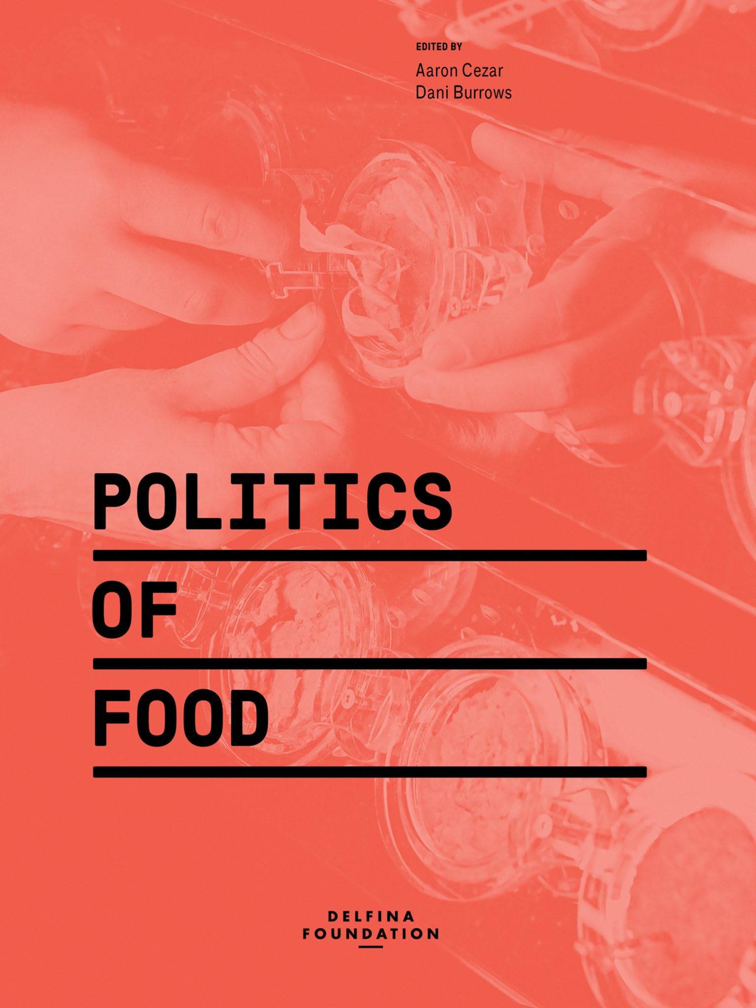 Politics of Food book