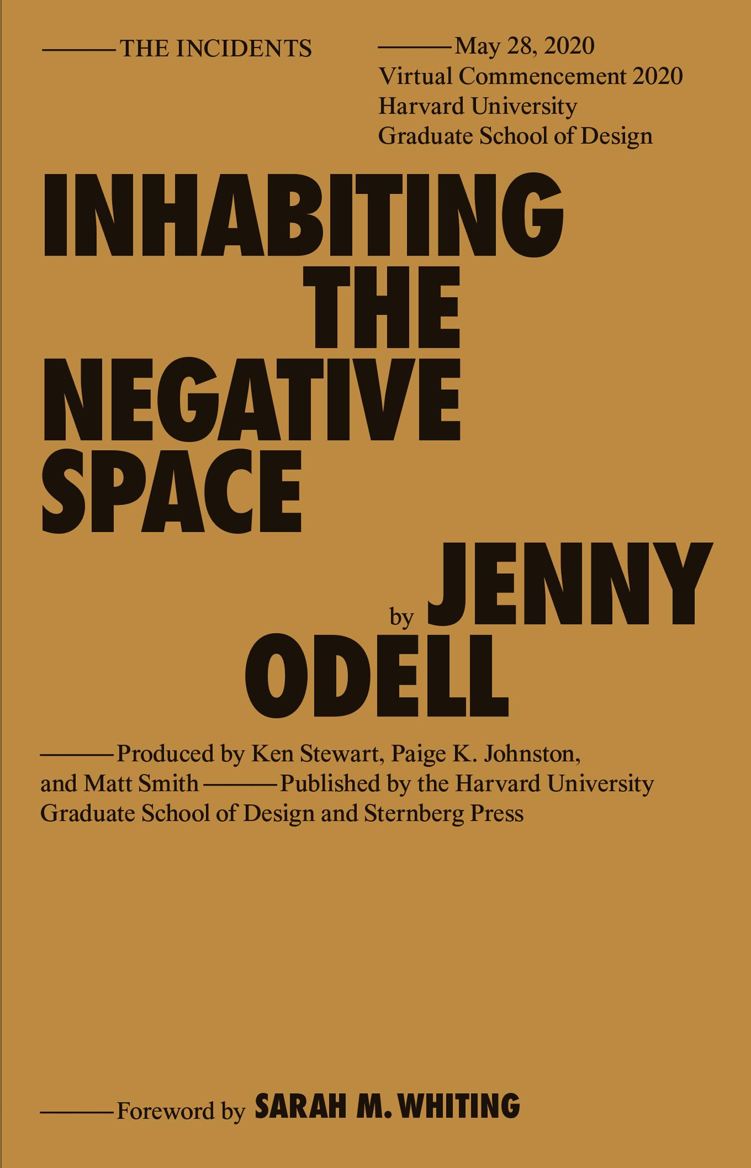 Inhabiting the Negative Space (The Incidents) Film, Art & Culture