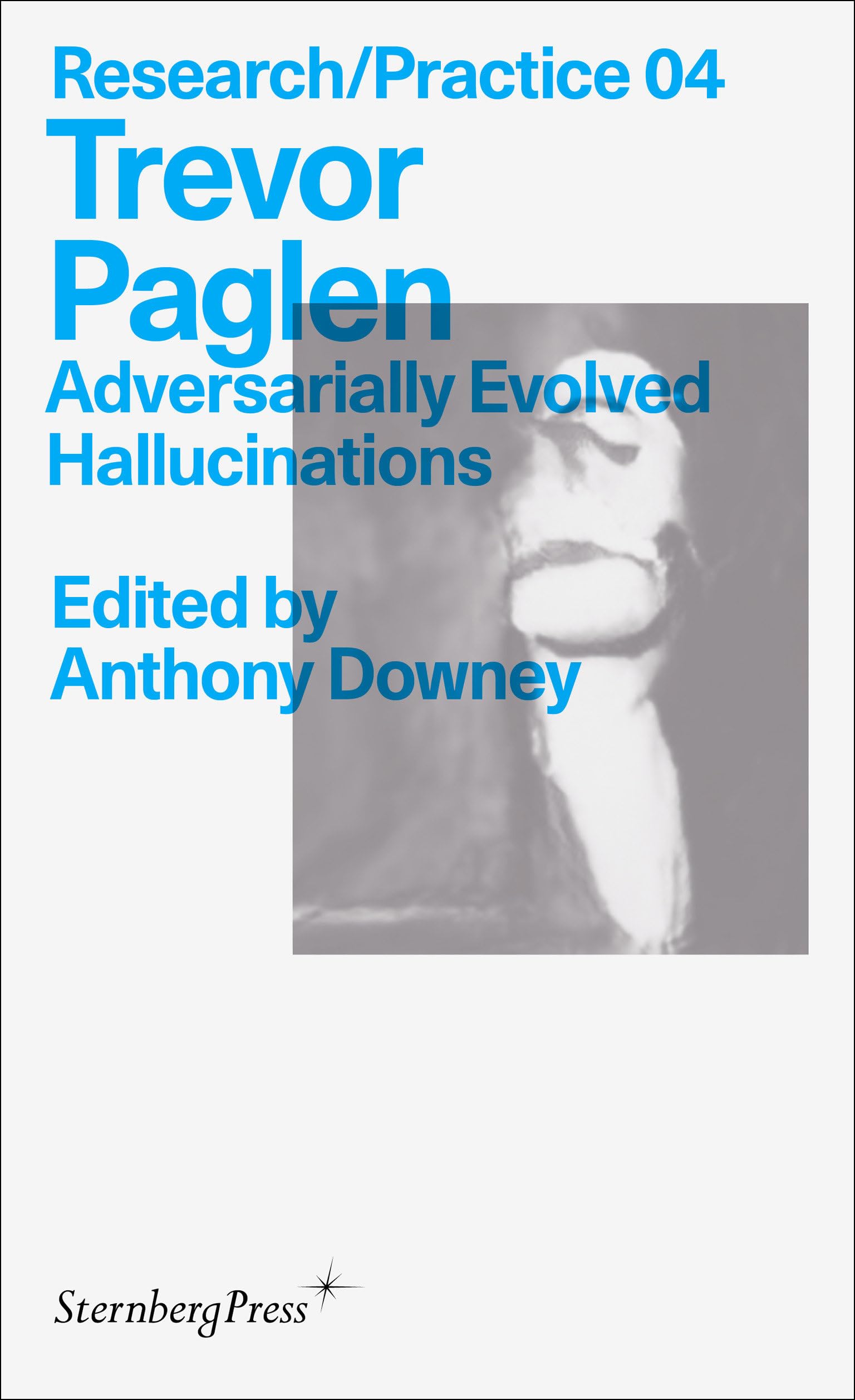 Trevor Paglen: Adversarially Evolved Hallucinations (Sternberg Press / Research/Practice, 4, Band 4) Books