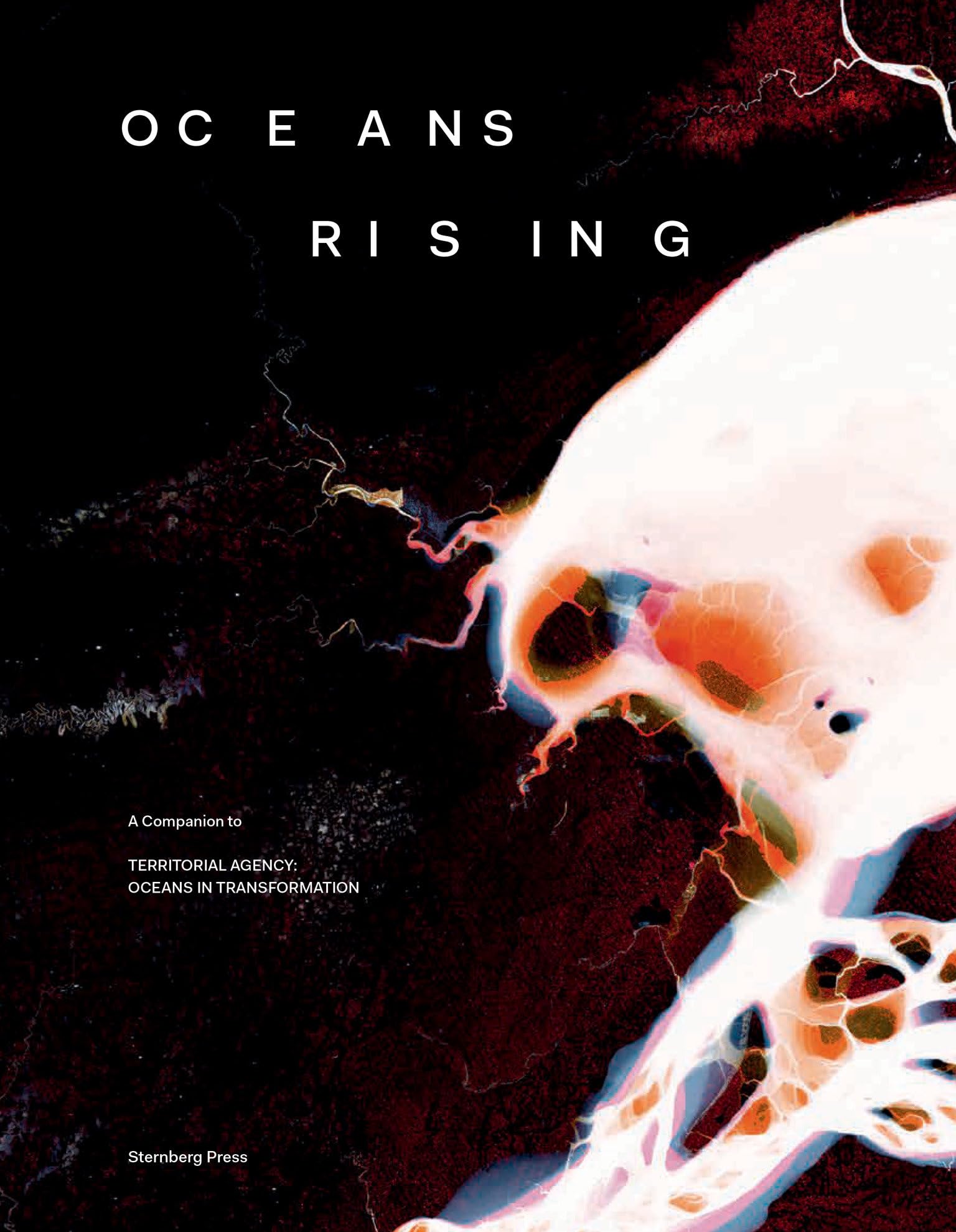 Oceans Rising: A Companion to Territorial Agency: Oceans in Transformation Social Sciences