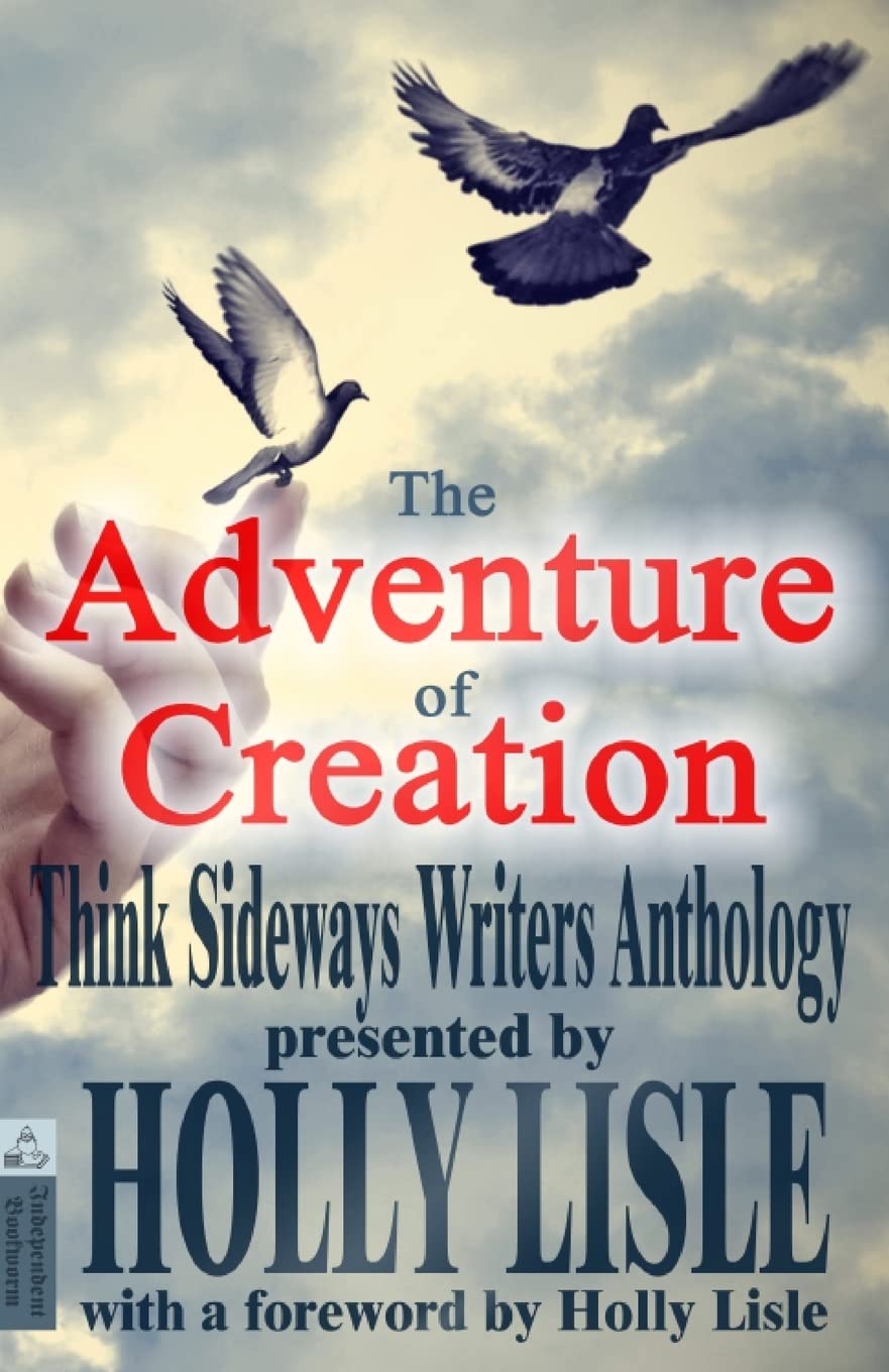 The Adventure of Creation: With a Foreword by Holly Lisle (Think Sideways Writers Anthology, Band 1) Contemporary literature