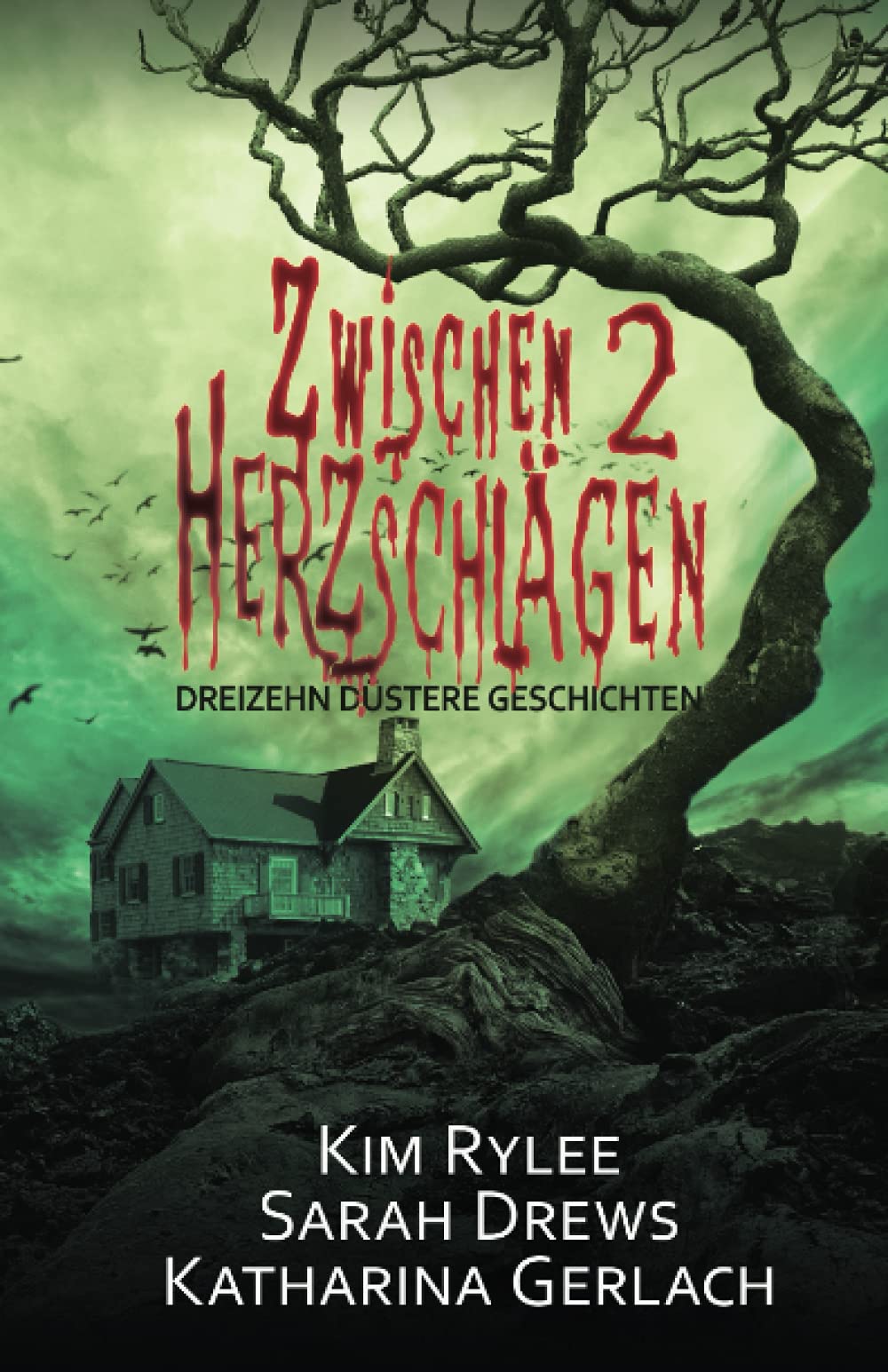 Zwischen zwei Herzschlägen: dreizehn düstere Kurzgeschichten Contemporary literature