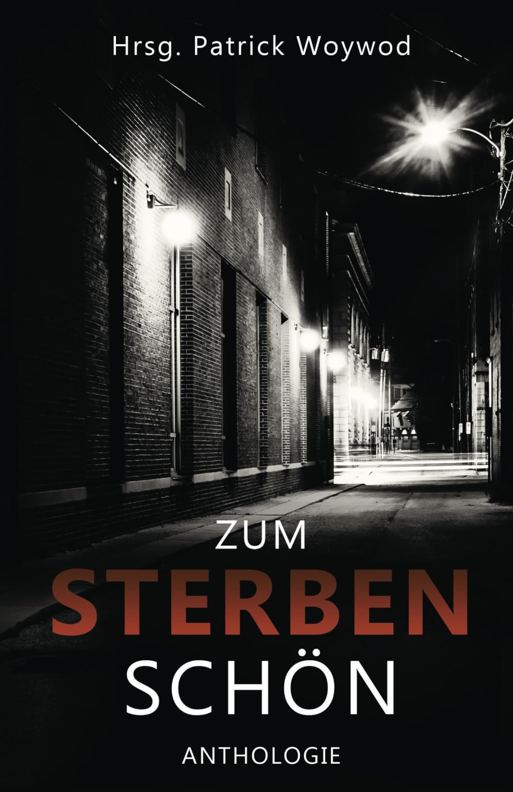 Zum Sterben schön: Spendenanthologie für den Gnadenhof Sandhausen-Bruchhausen (Spendenanthologien Gnadenhof Sandhausen-Bruchhausen) Contemporary literature Books