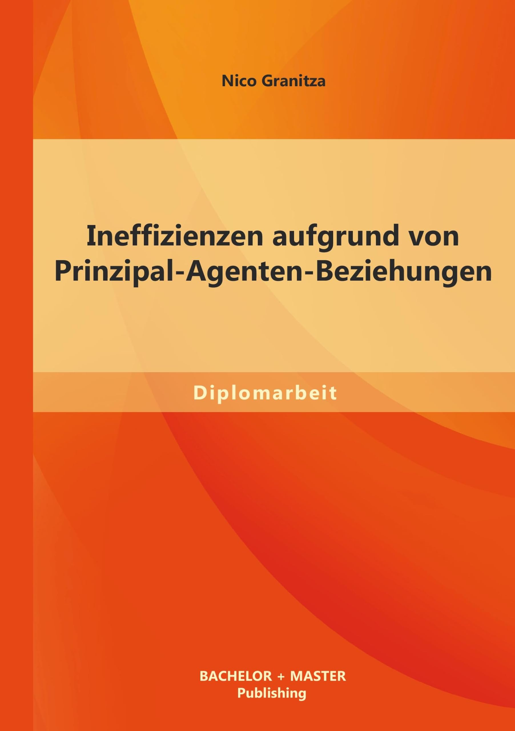 Ineffizienzen aufgrund von Prinzipal-Agenten-Beziehungen Law