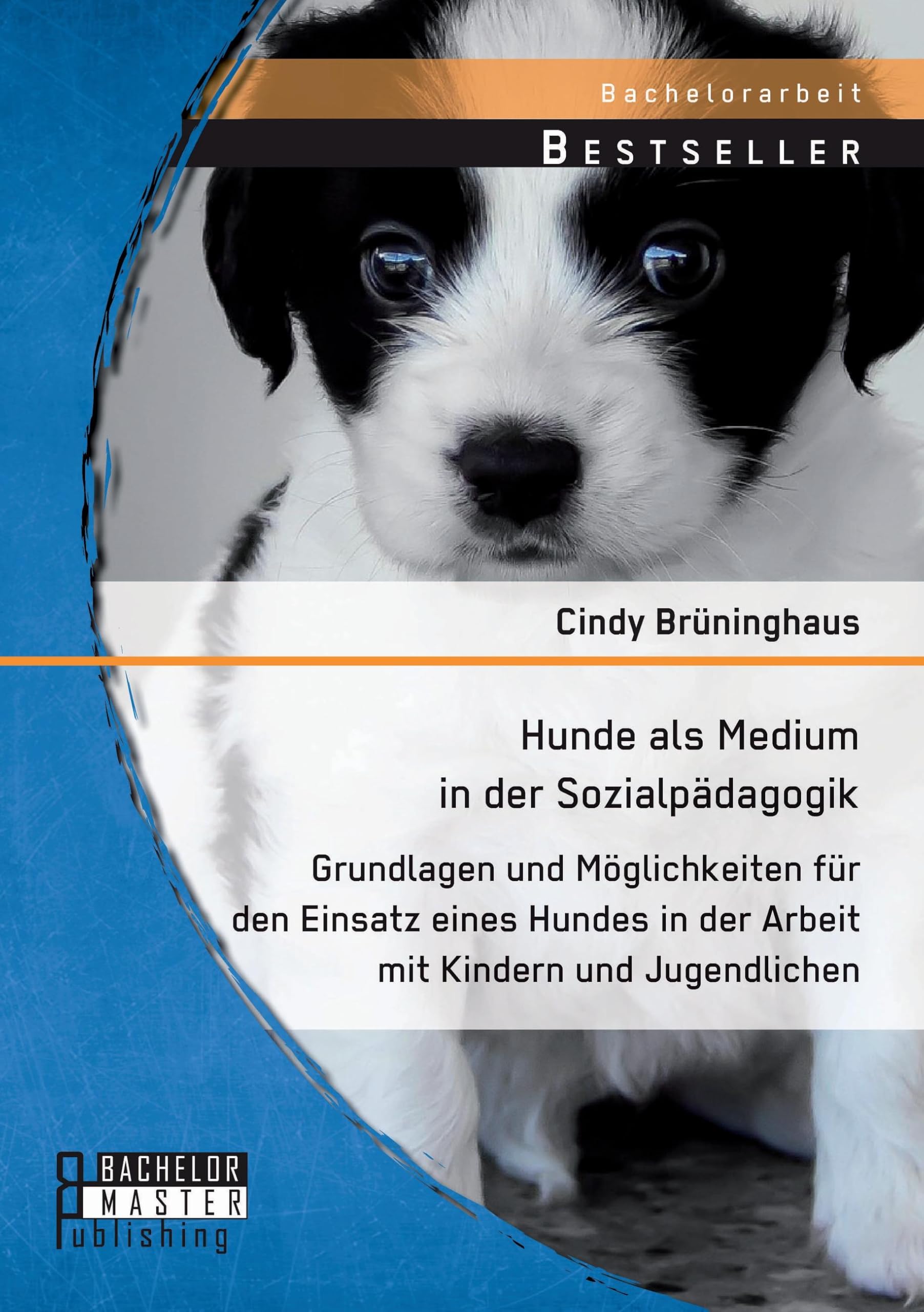 Hunde als Medium in der Sozialpädagogik: Grundlagen und Möglichkeiten für den Einsatz eines Hundes in der Arbeit mit Kindern und Jugendlichen (Bachelorarbeit) Social Sciences