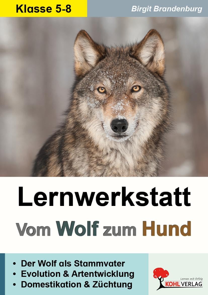 Lernwerkstatt Wolf, Hund & Co: Die Familie der Hunde näher beleuchtet Pets