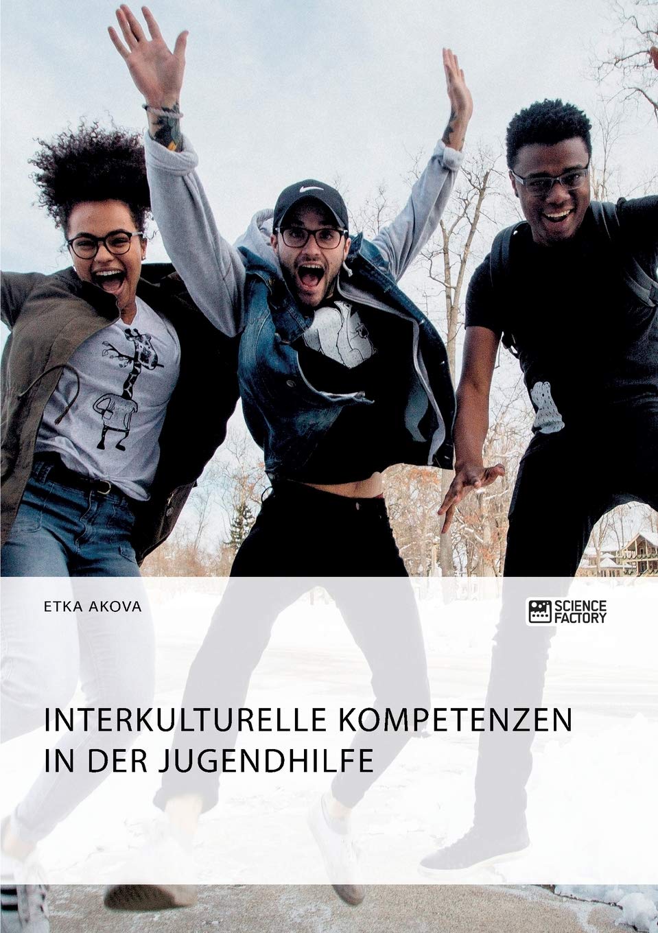Interkulturelle Kompetenzen in der Jugendhilfe Social Sciences
