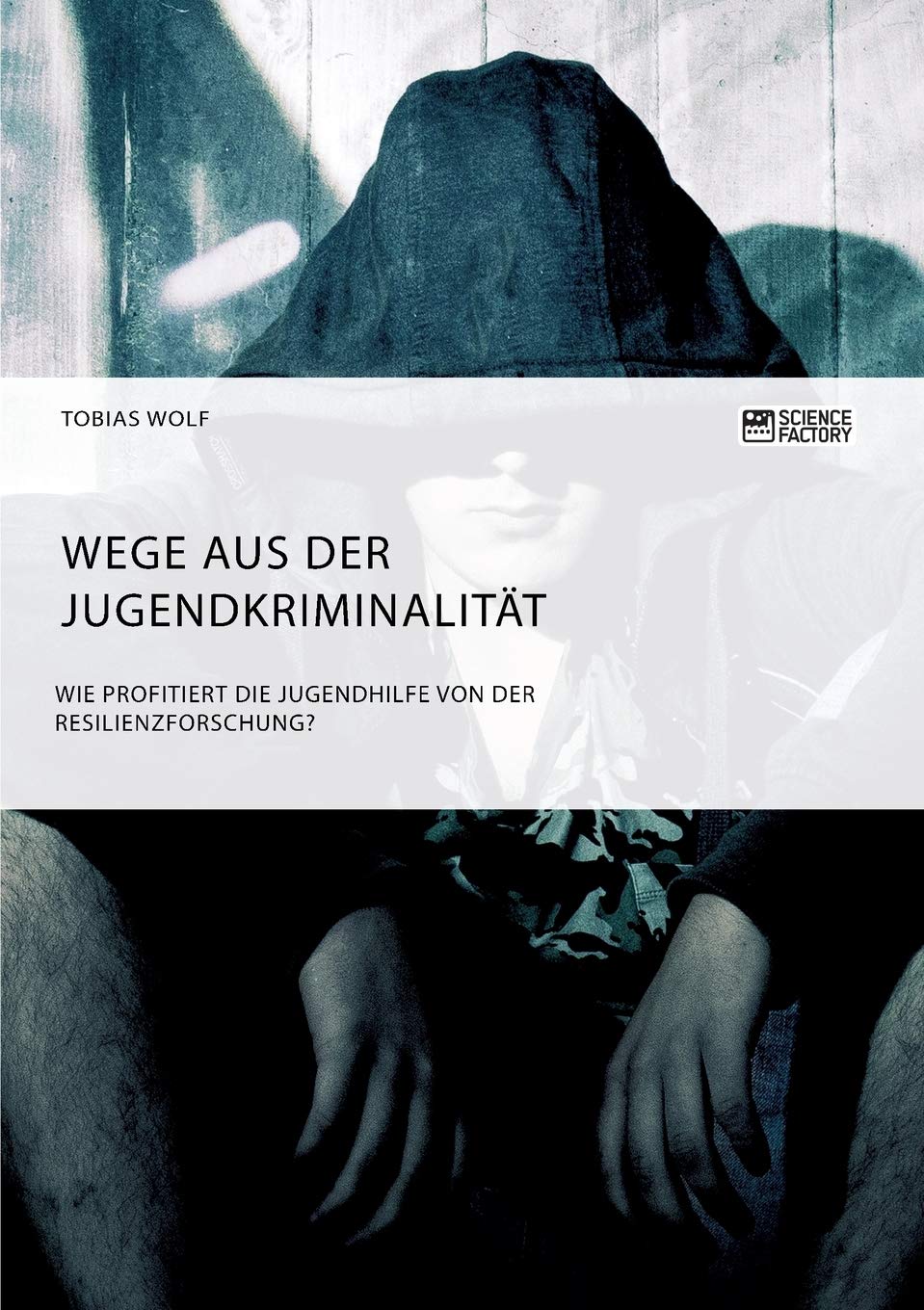 Wege aus der Jugendkriminalität. Wie profitiert die Jugendhilfe von der Resilienzforschung? Non-fiction books
