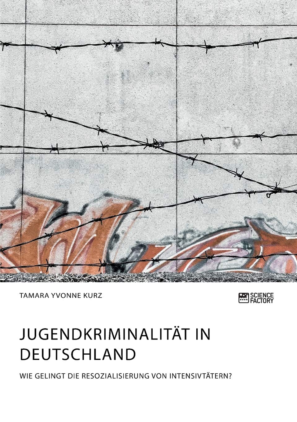 Jugendkriminalität in Deutschland. Wie gelingt die Resozialisierung von Intensivtätern? Law