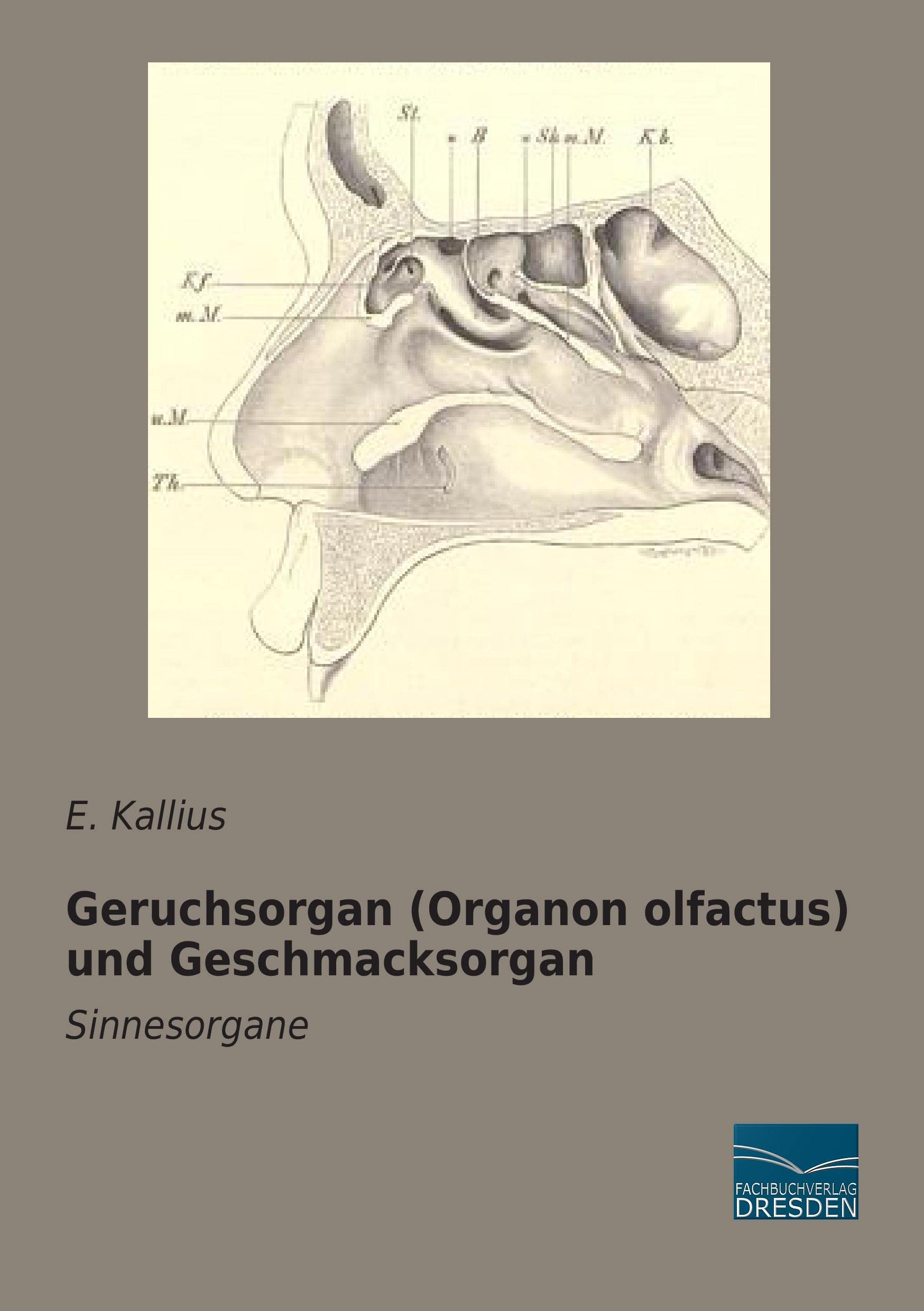 Geruchsorgan (Organon olfactus) und Geschmacksorgan Medicine