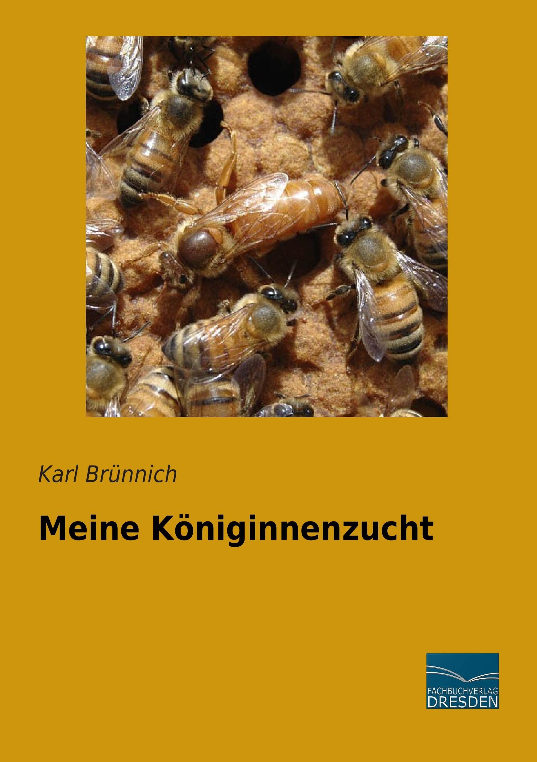Meine Koeniginnenzucht Pets