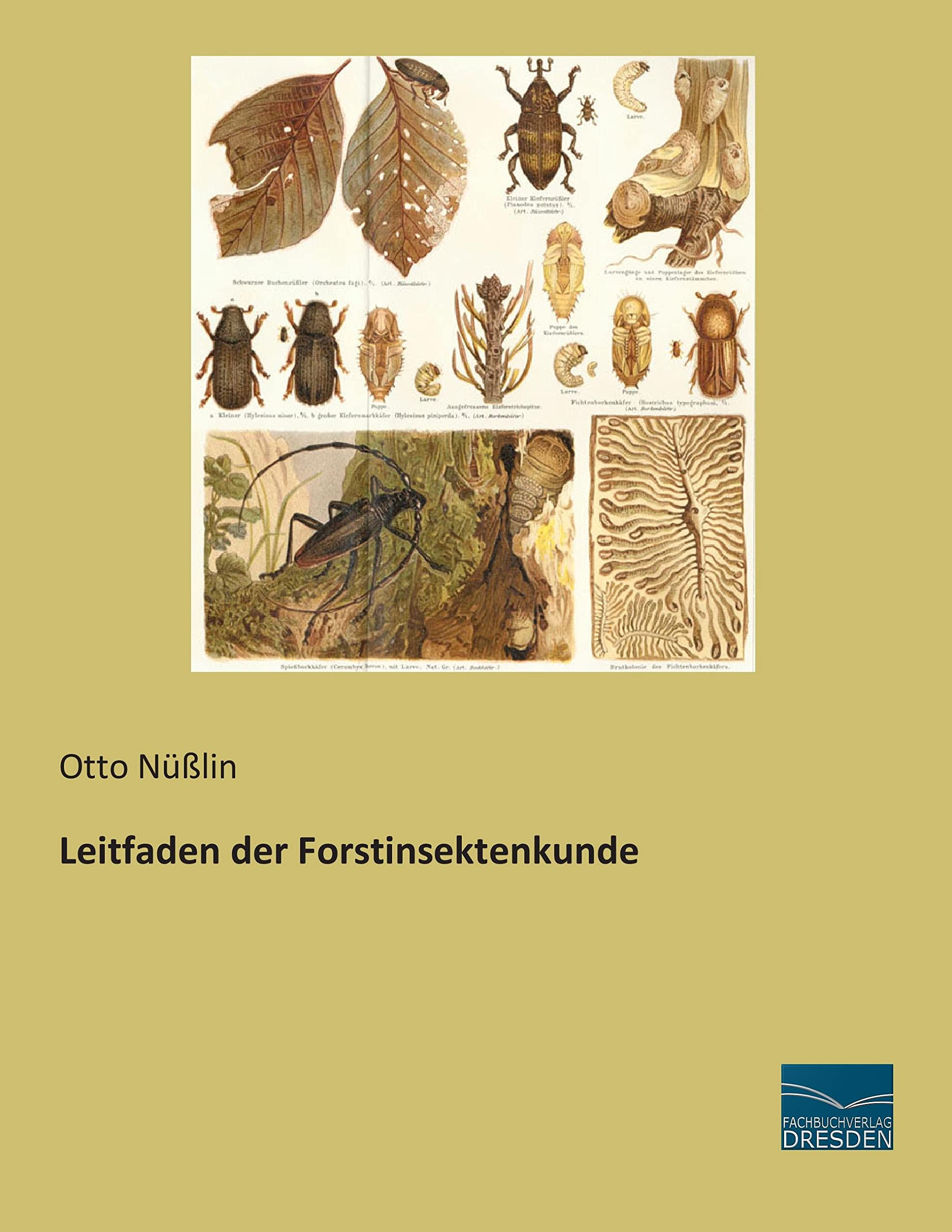 Leitfaden der Forstinsektenkunde Natural Sciences