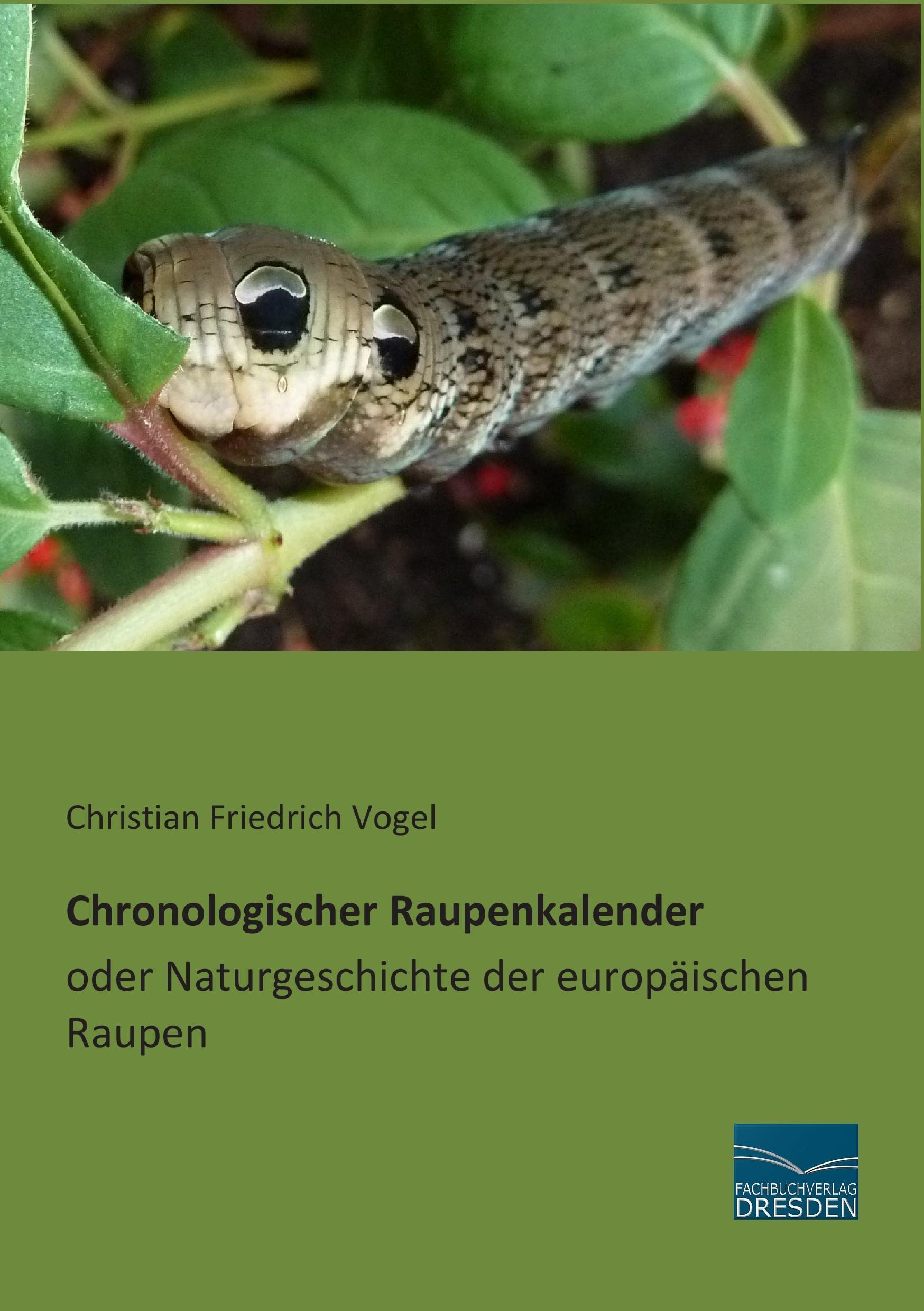 Chronologischer Raupenkalender oder Naturgeschichte der europaeischen Raupen Mathematics