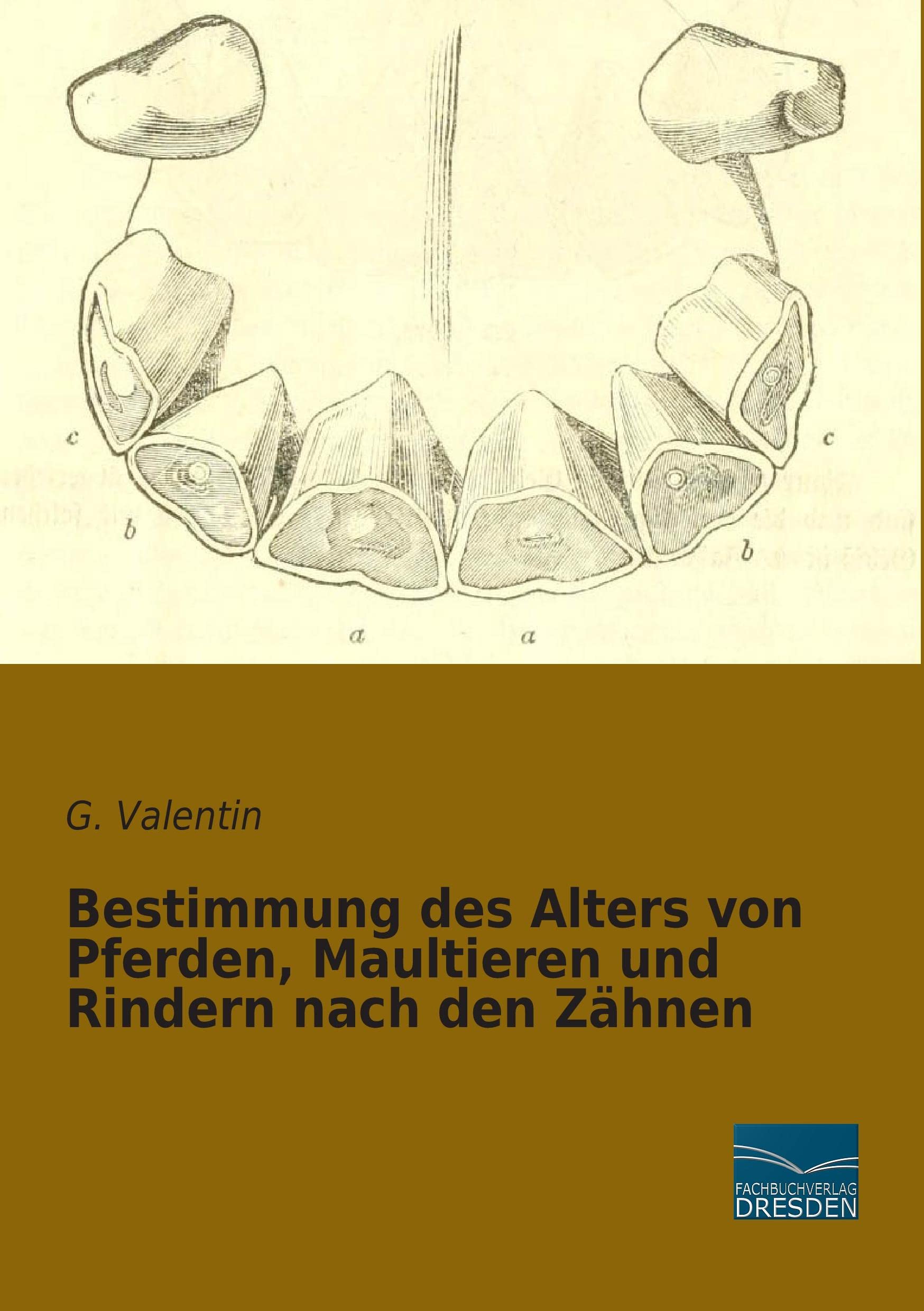 Bestimmung des Alters von Pferden, Maultieren und Rindern nach den Zähnen Pets