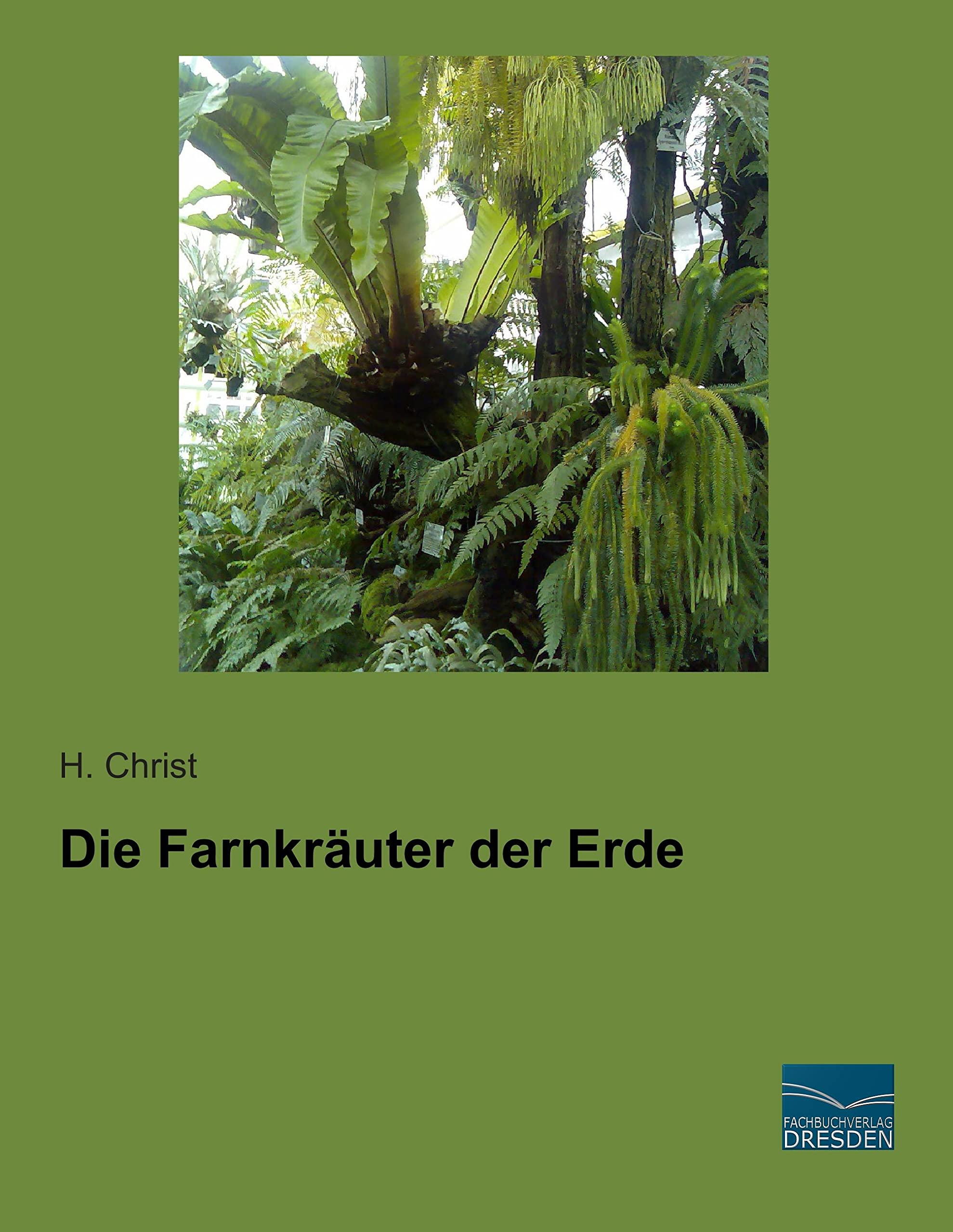 Die Farnkraeuter der Erde Mathematics