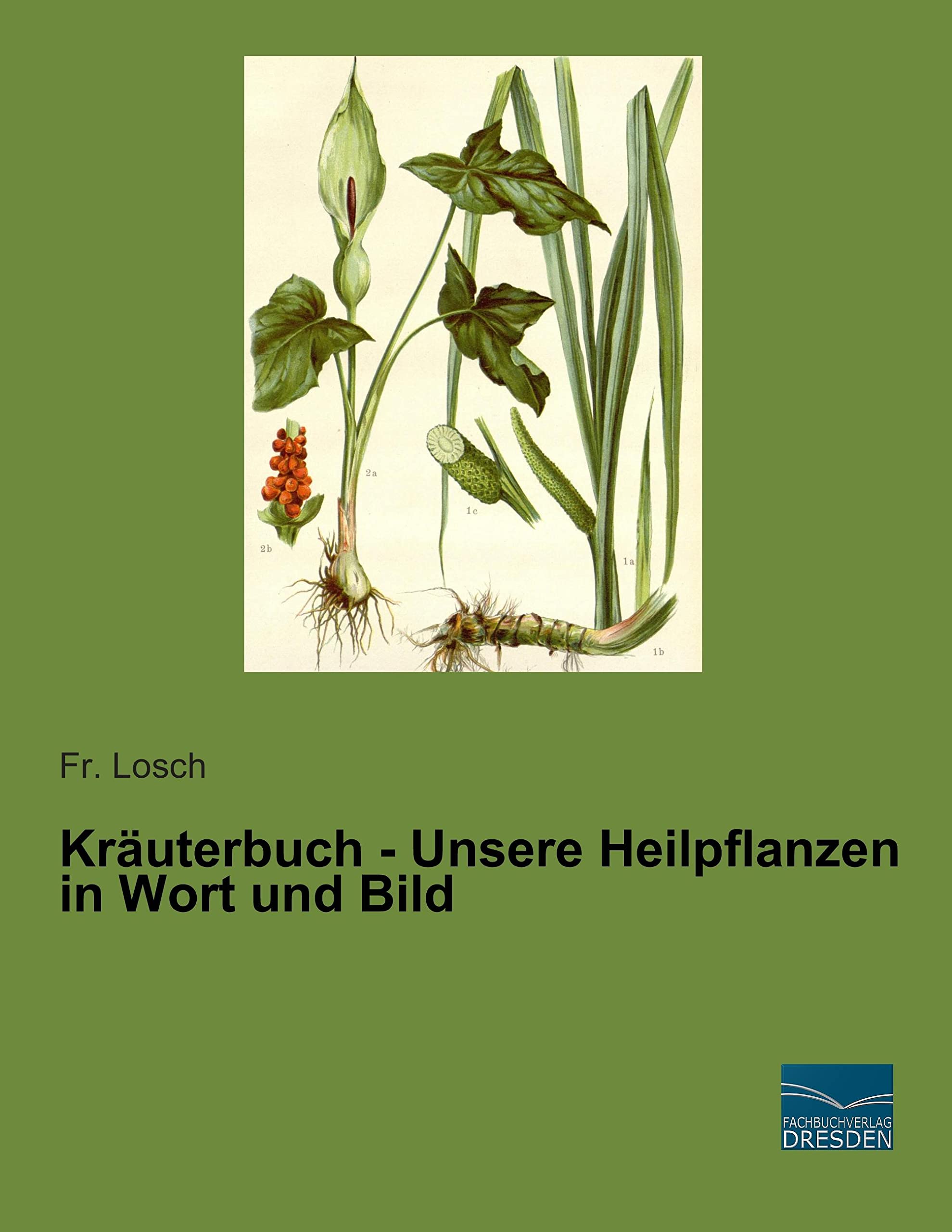 Kraeuterbuch - Unsere Heilpflanzen in Wort und Bild Business & Technology