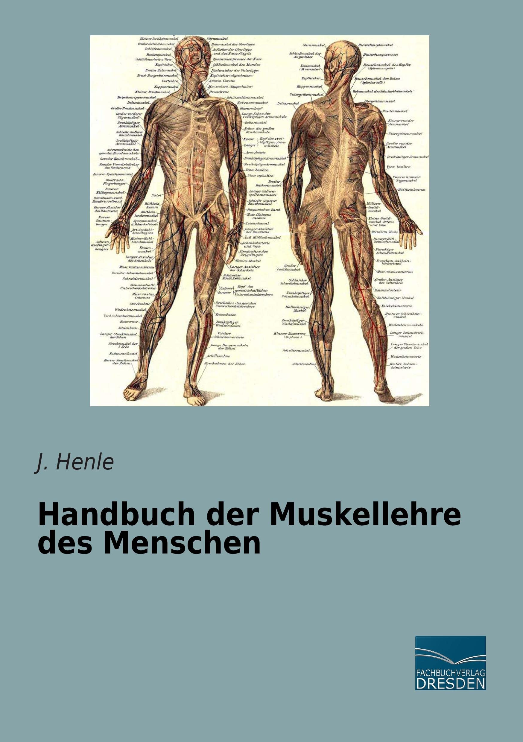 Handbuch der Muskellehre des Menschen Medicine