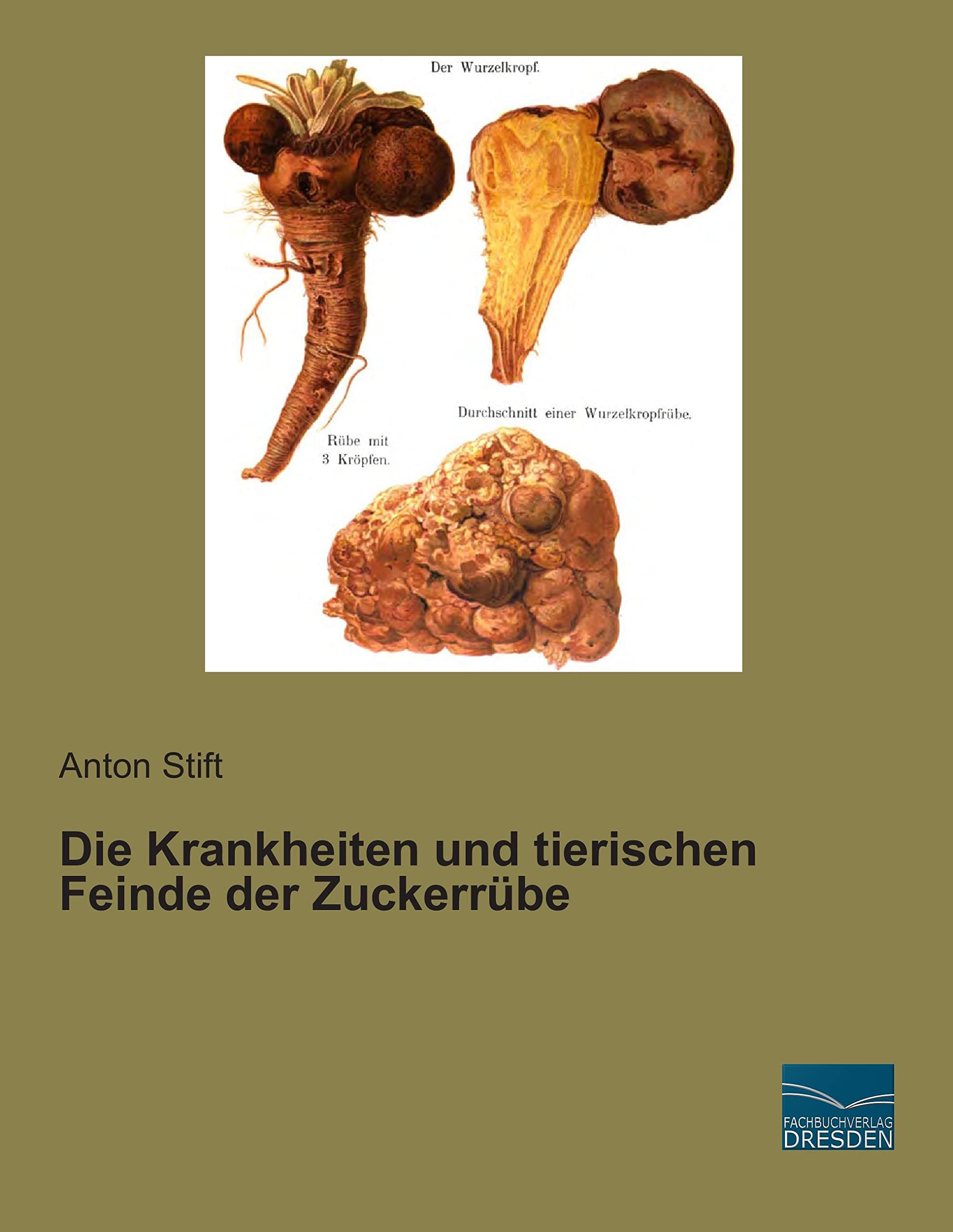 Die Krankheiten und tierischen Feinde der Zuckerruebe Media & Communication