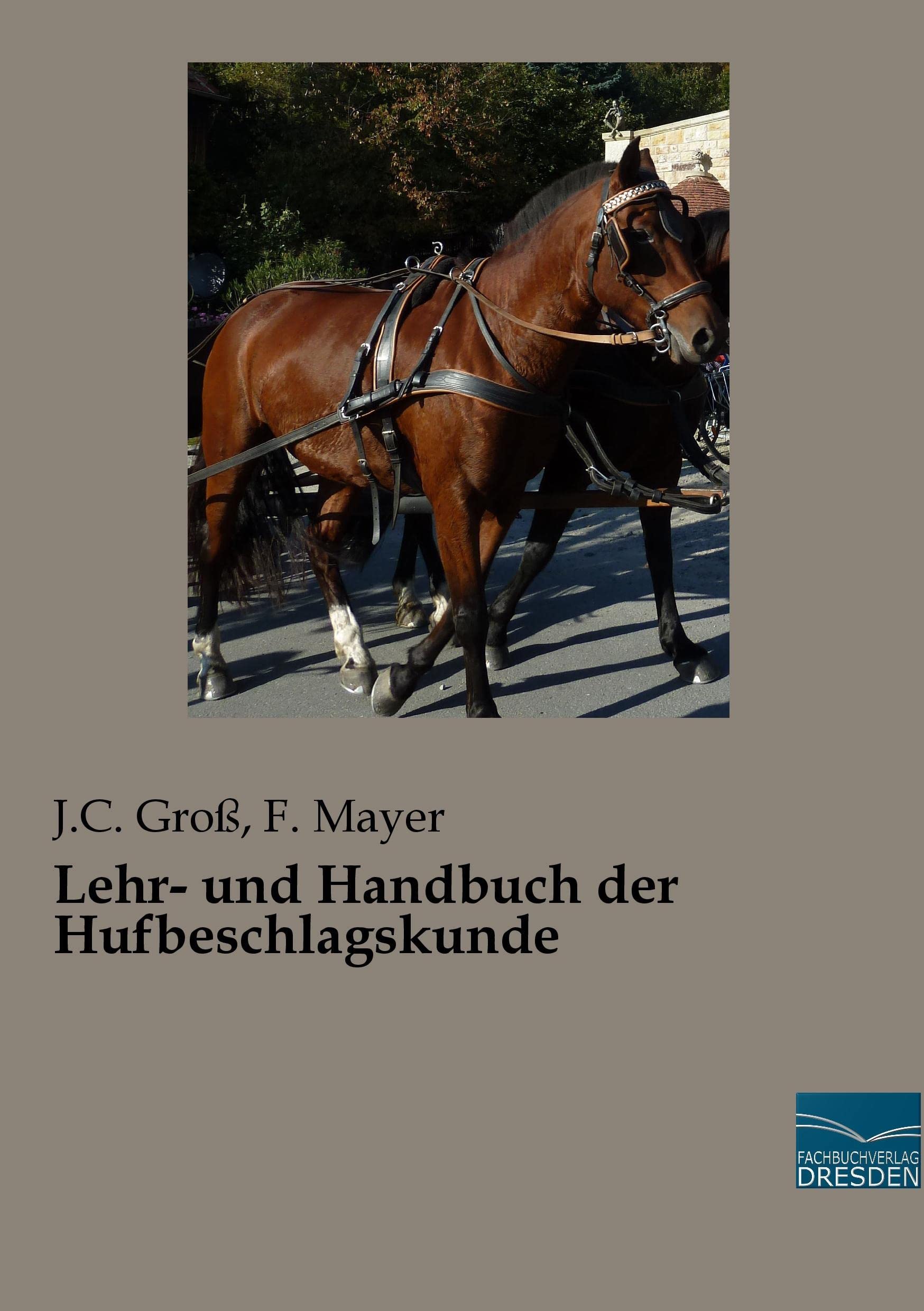 Lehr- und Handbuch der Hufbeschlagskunde Media & Communication