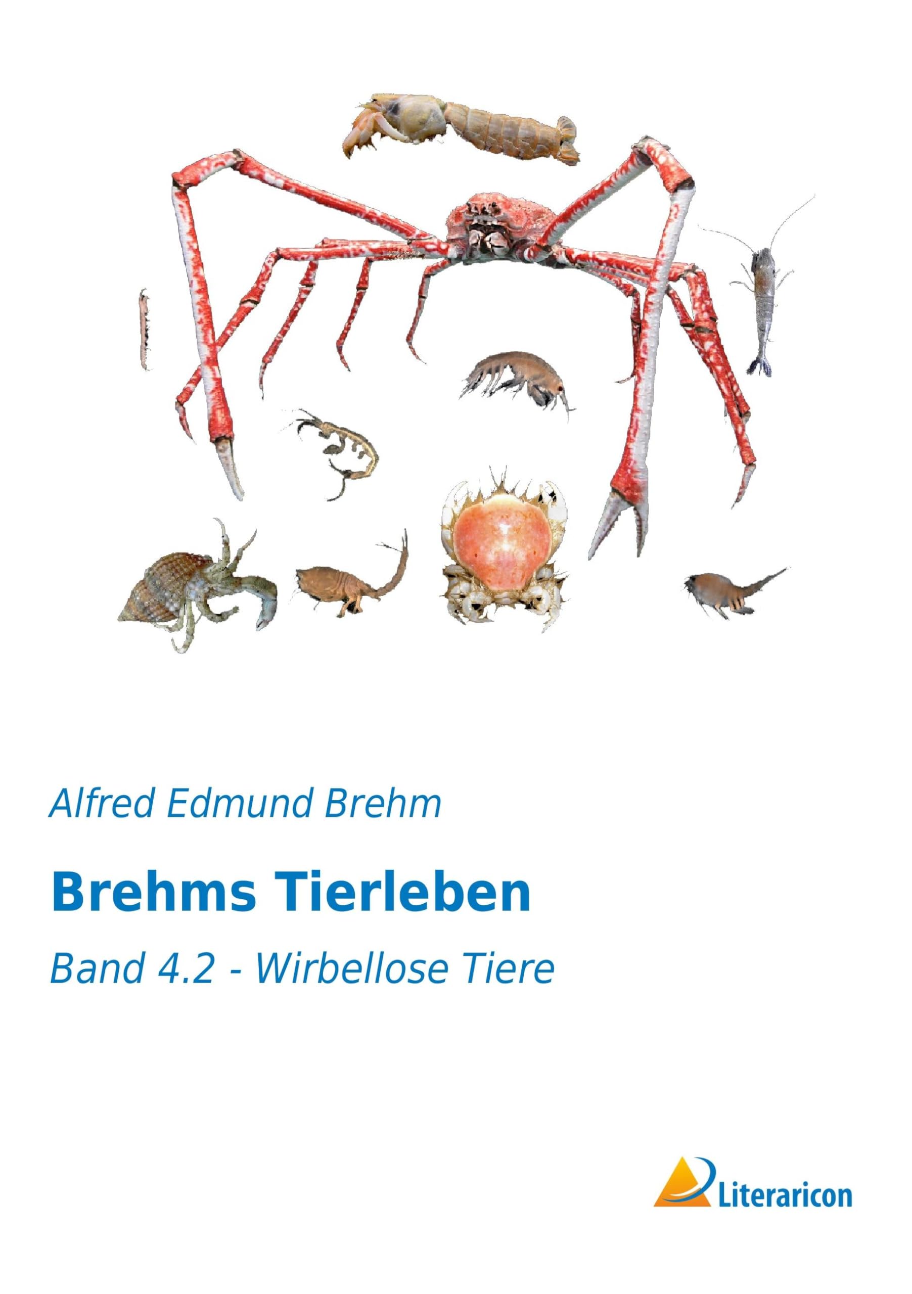 Brehms Tierleben: Band 4.2 - Wirbellose Tiere Natural Sciences