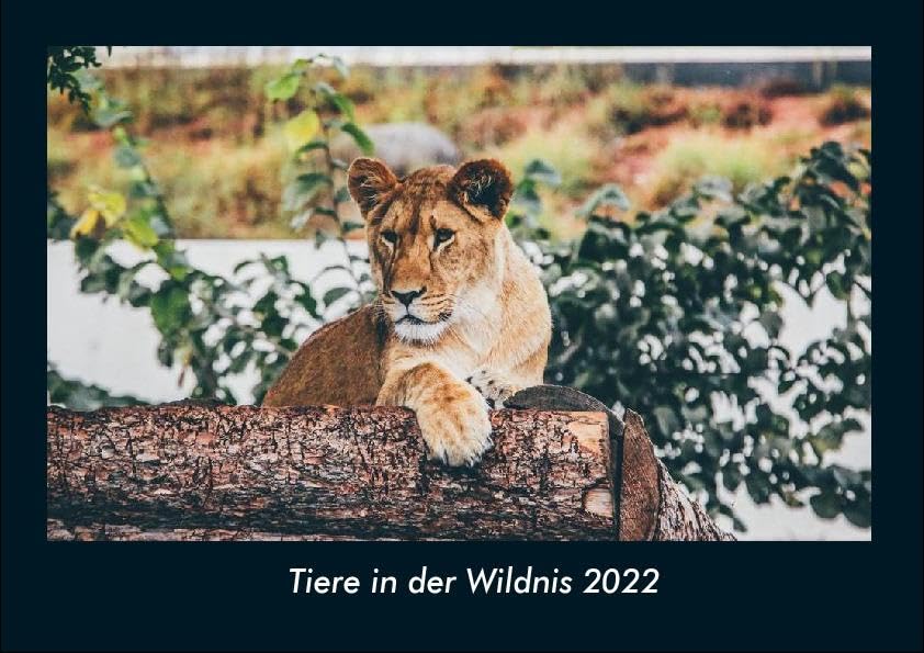 Tiere in der Wildnis 2022 Fotokalender DIN A4: Monatskalender mit Bild-Motiven von Haustieren, Bauernhof, wilden Tieren und Raubtieren Books
