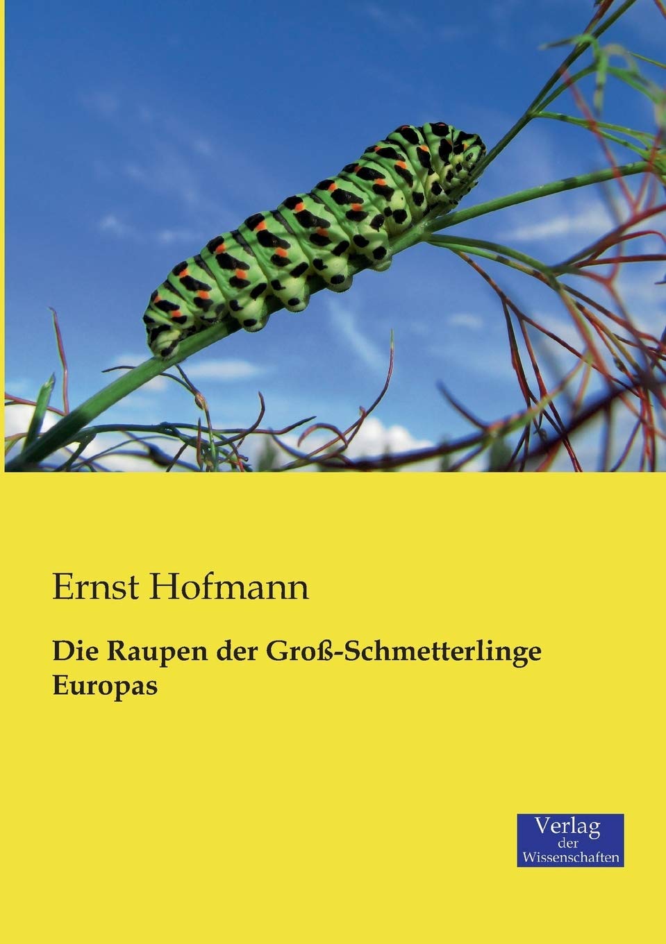 Die Raupen der Groß-Schmetterlinge Europas Leisure, Home & Garden