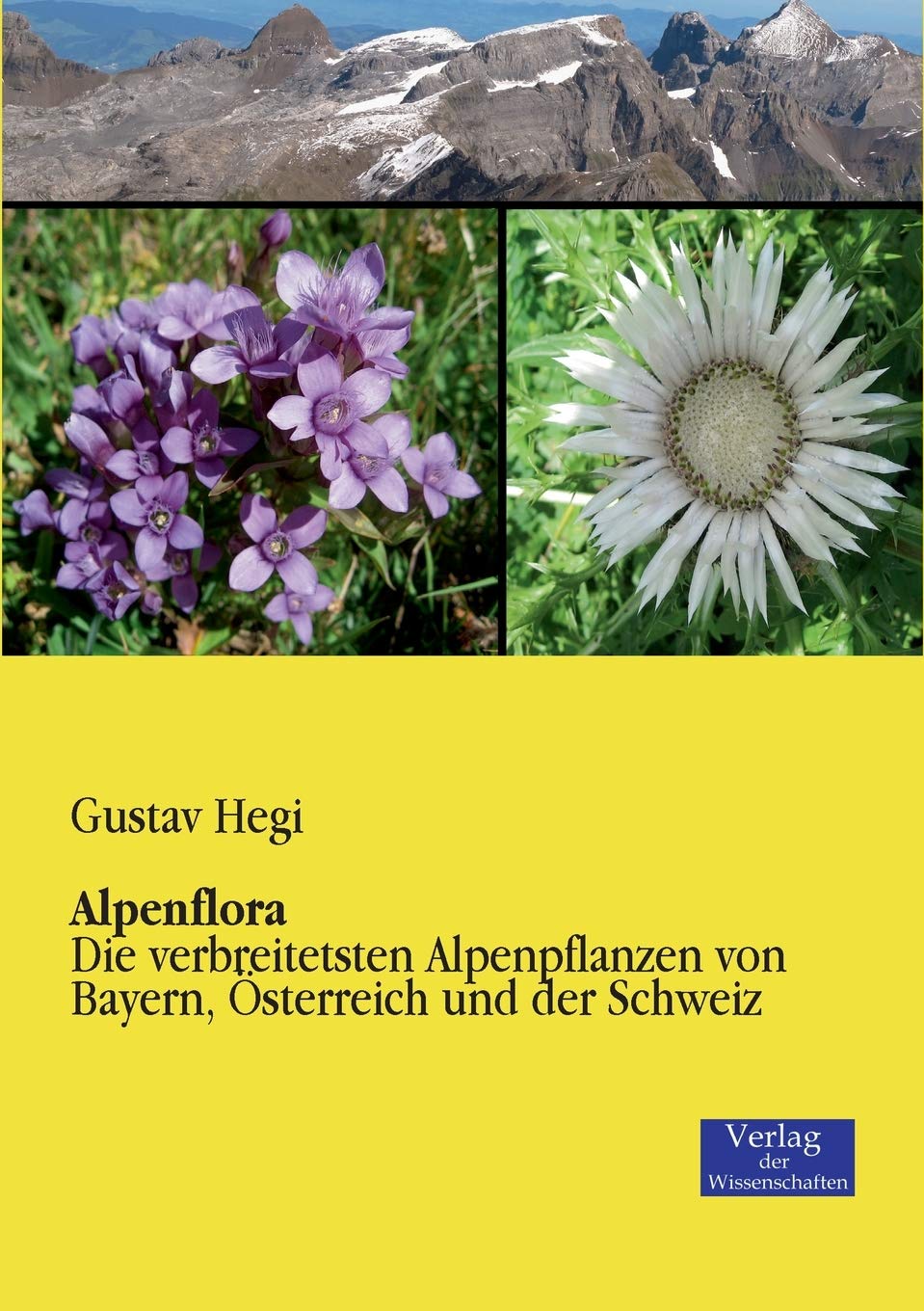 Alpenflora: Die verbreitetsten Alpenpflanzen von Bayern, Österreich und der Schweiz Contemporary literature