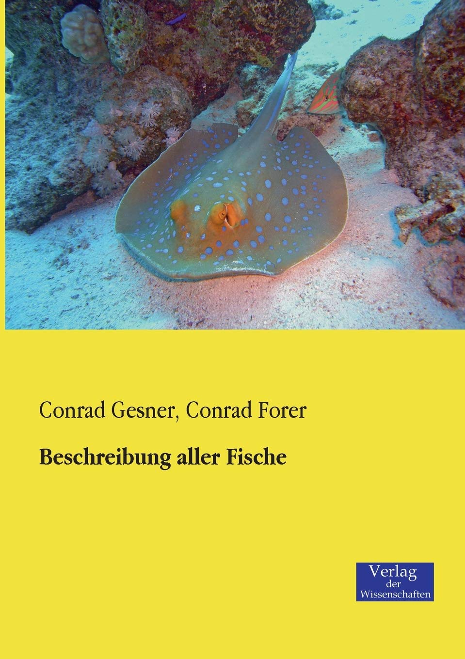 Beschreibung aller Fische Mathematics