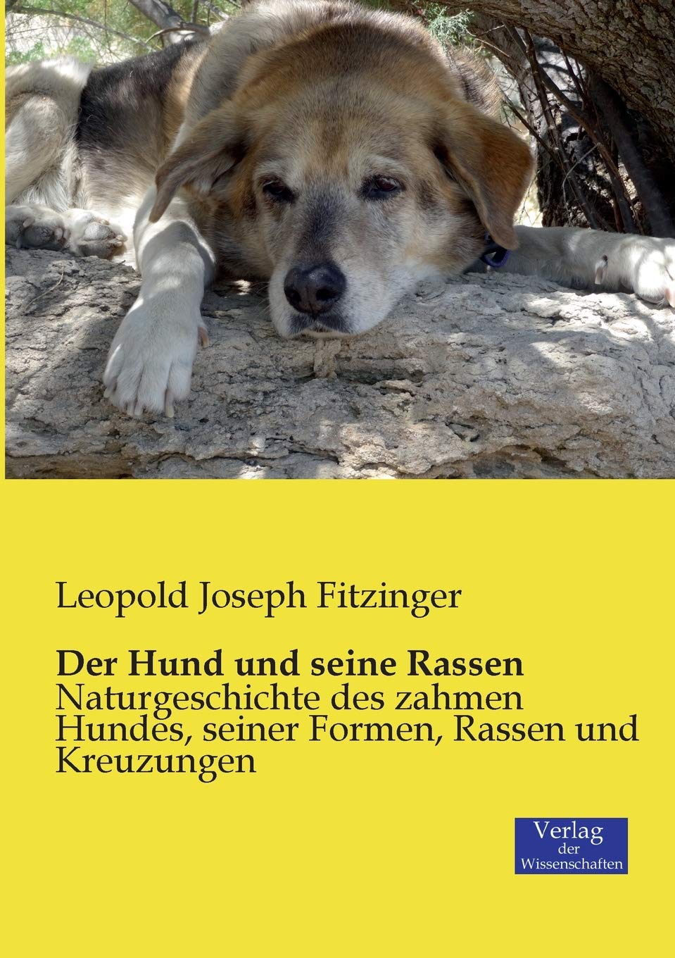 Der Hund und seine Rassen Pets