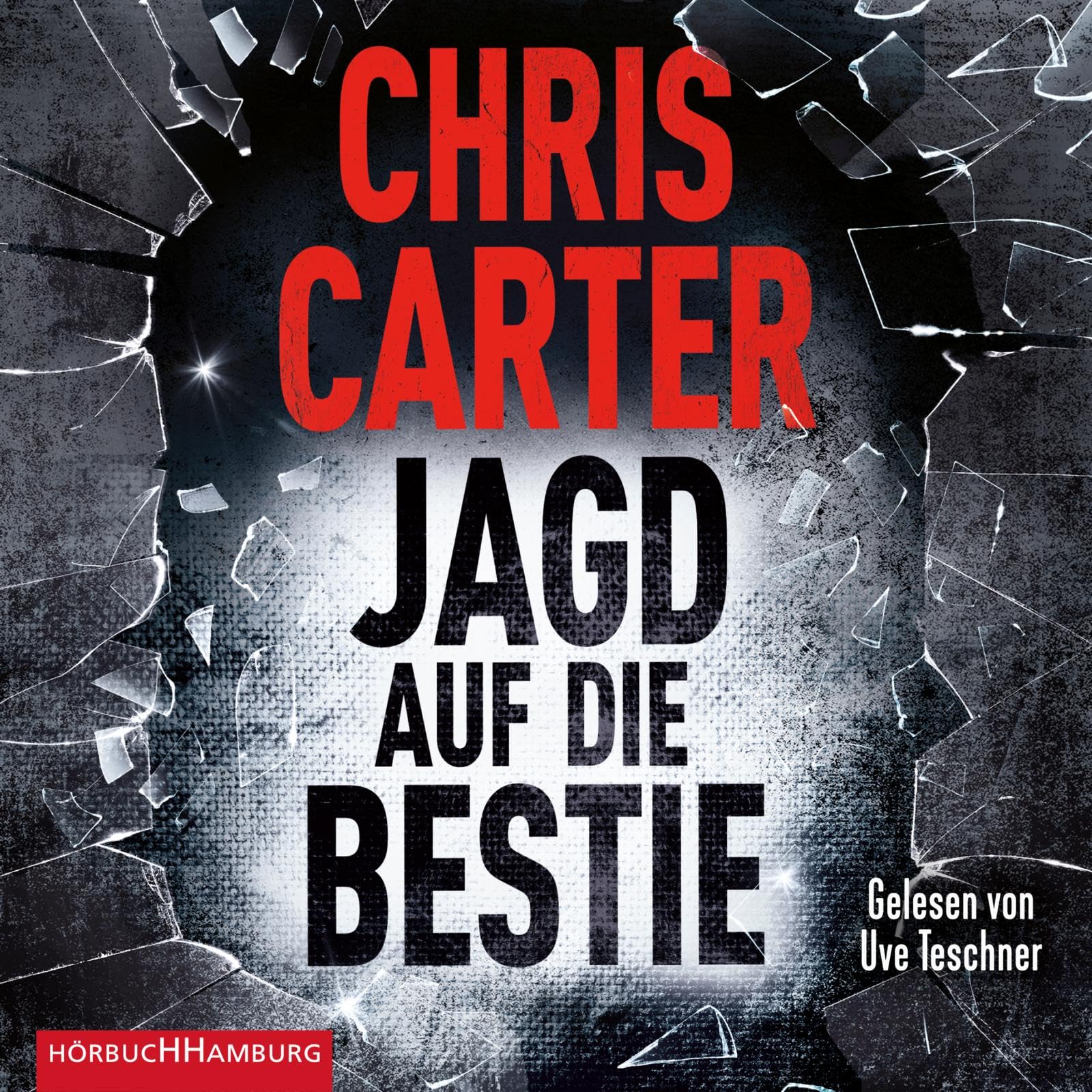 Jagd auf die Bestie (Ein Hunter-und-Garcia-Thriller 10): 2 CDs Contemporary literature
