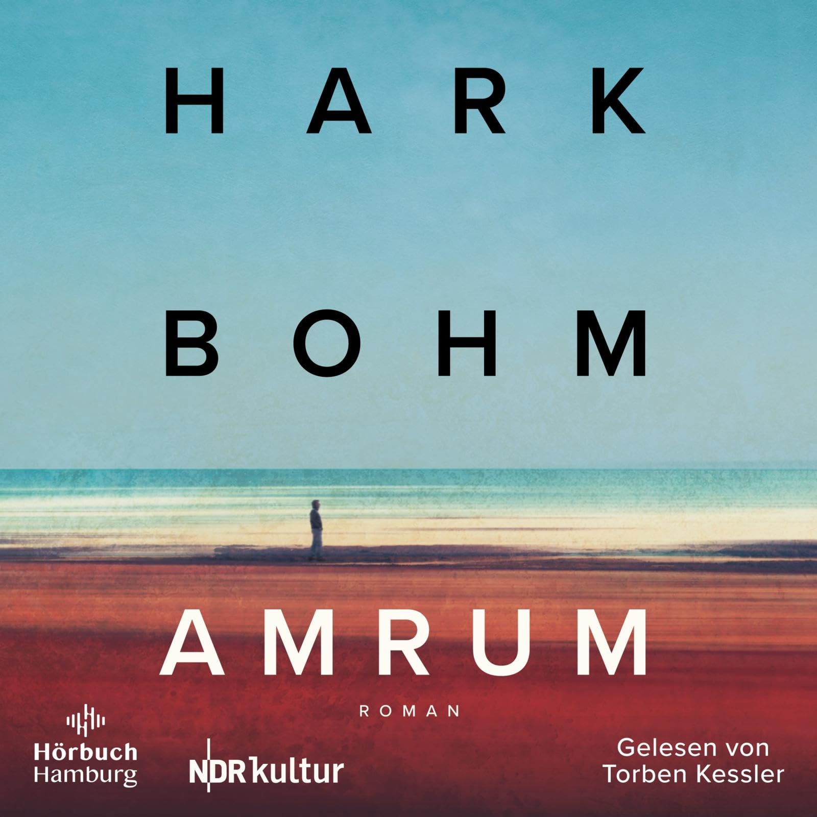 Amrum Contemporary literature