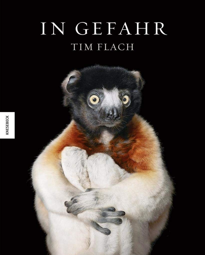 In Gefahr Travel Books