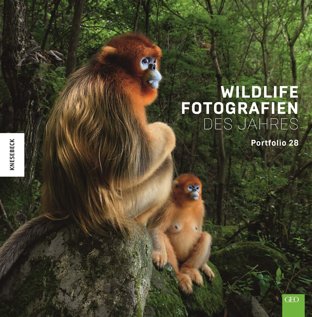Wildlife Fotografien des Jahres – Portfolio 28 Travel