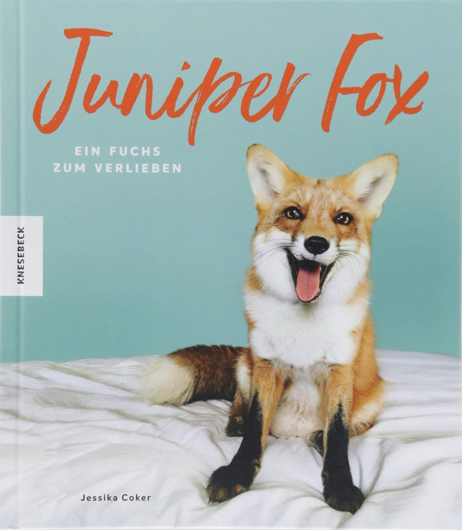 Juniper Fox Posters