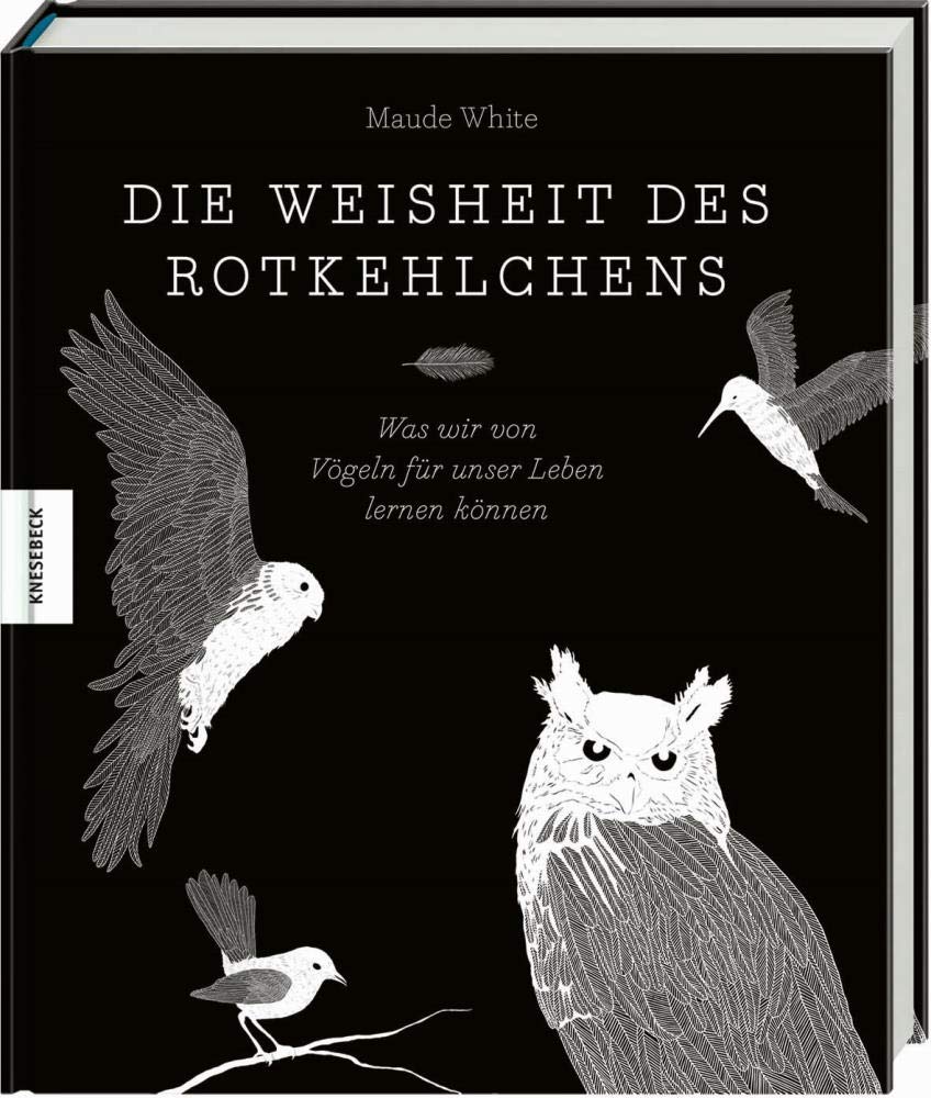Die Weisheit des Rotkehlchens Lifestyle