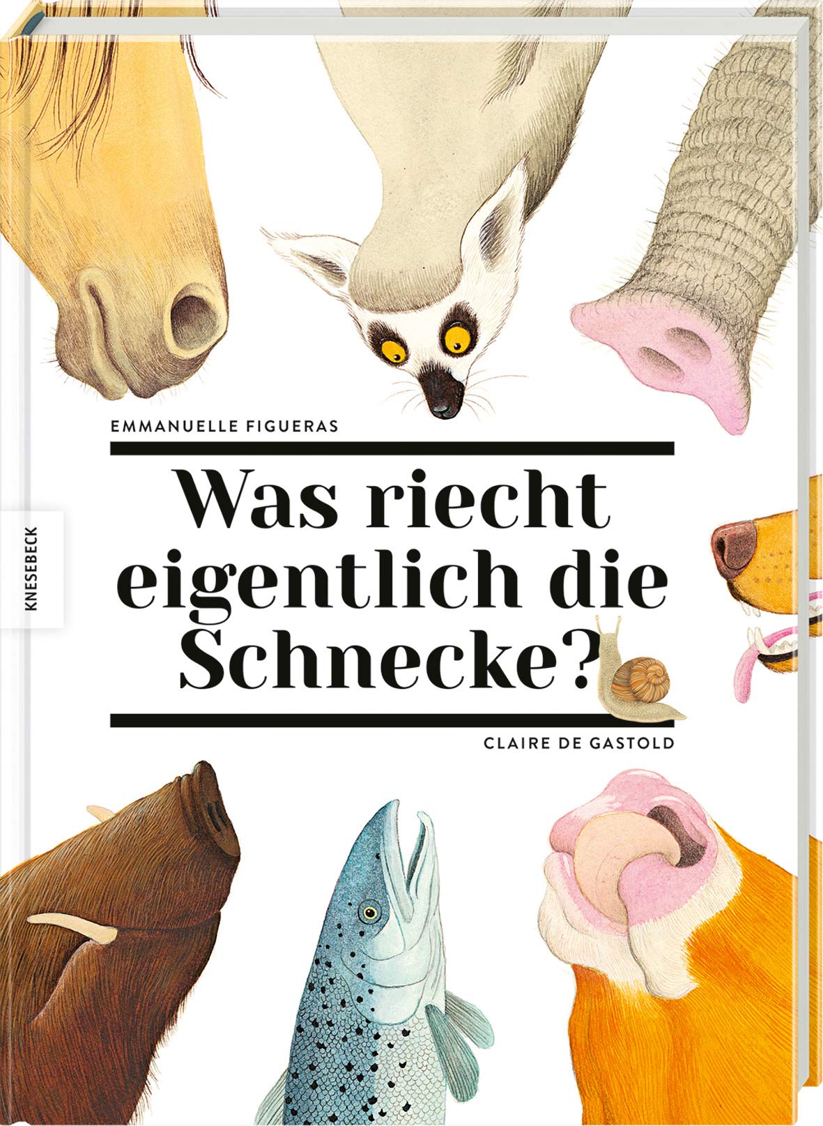 Was riecht eigentlich die Schnecke? Non-fiction books for kids