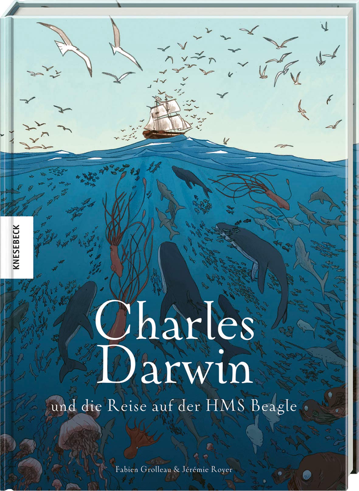 Charles Darwin und die Reise auf der HMS Beagle Politics & Society