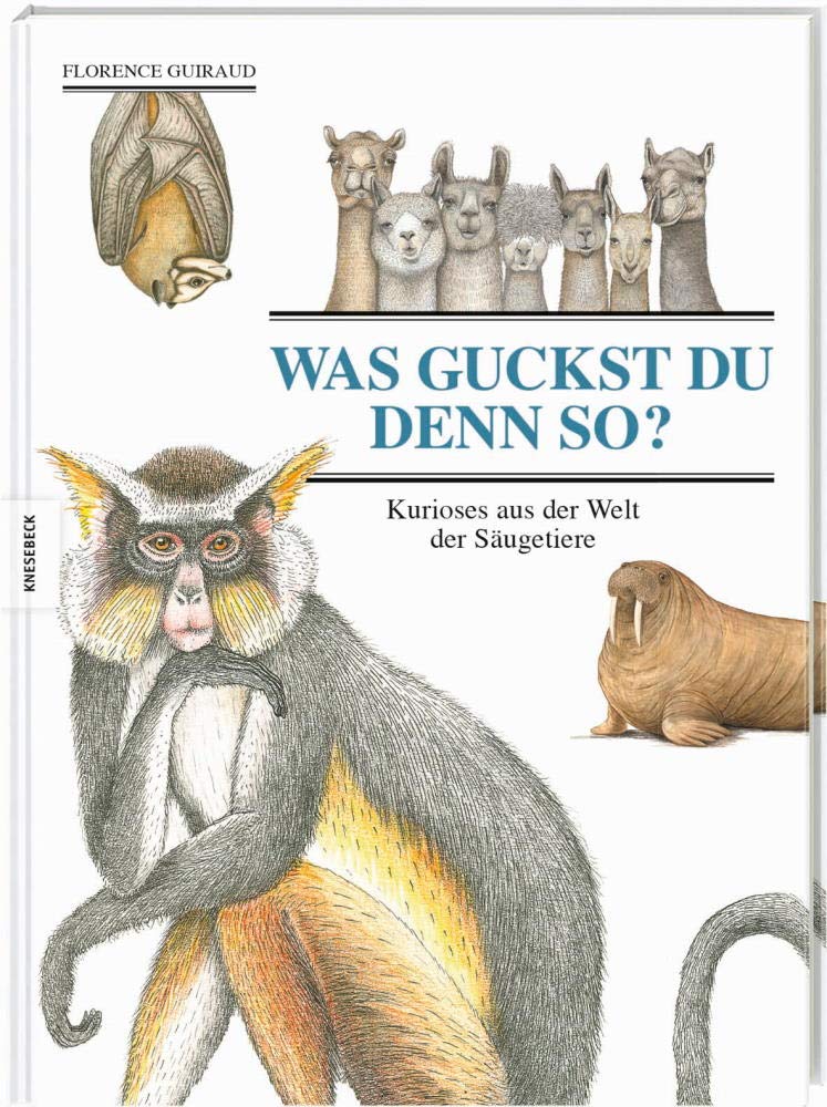 Product Image: Was guckst du denn so?