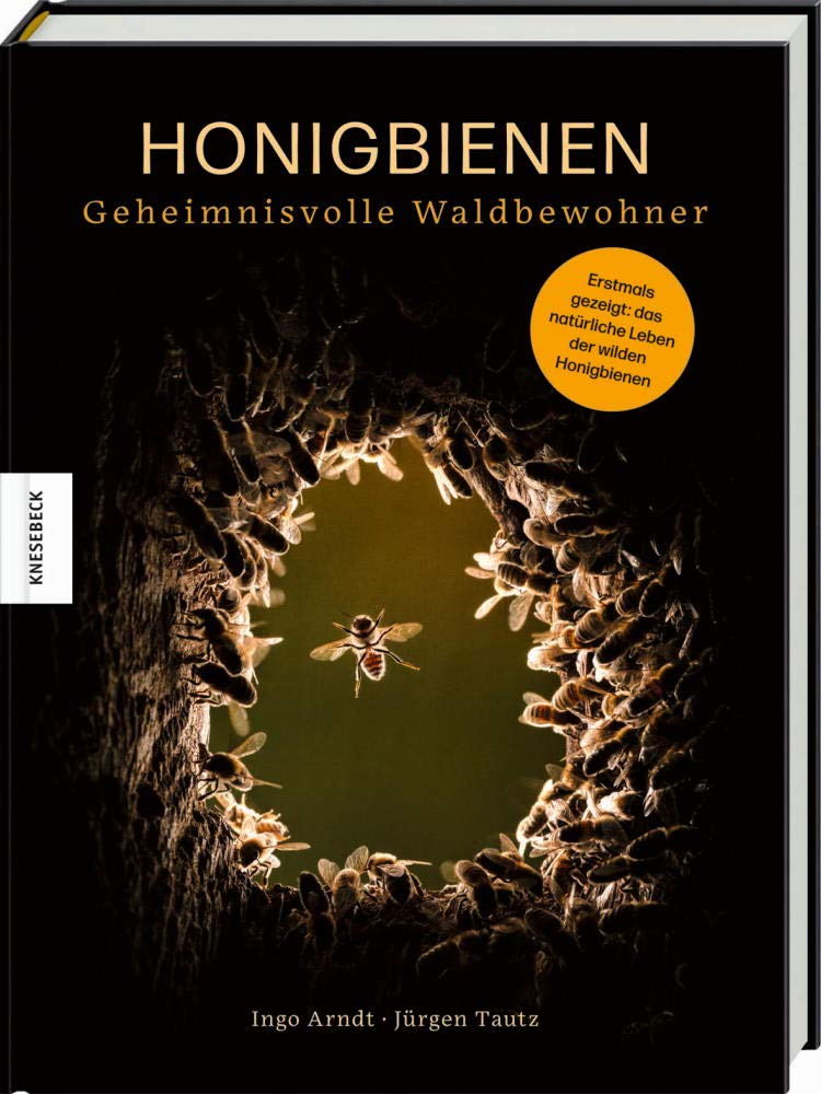 Honigbienen - geheimnisvolle Waldbewohner Photography Books