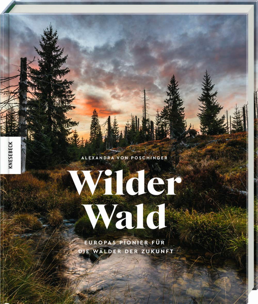 Wilder Wald Mathematics