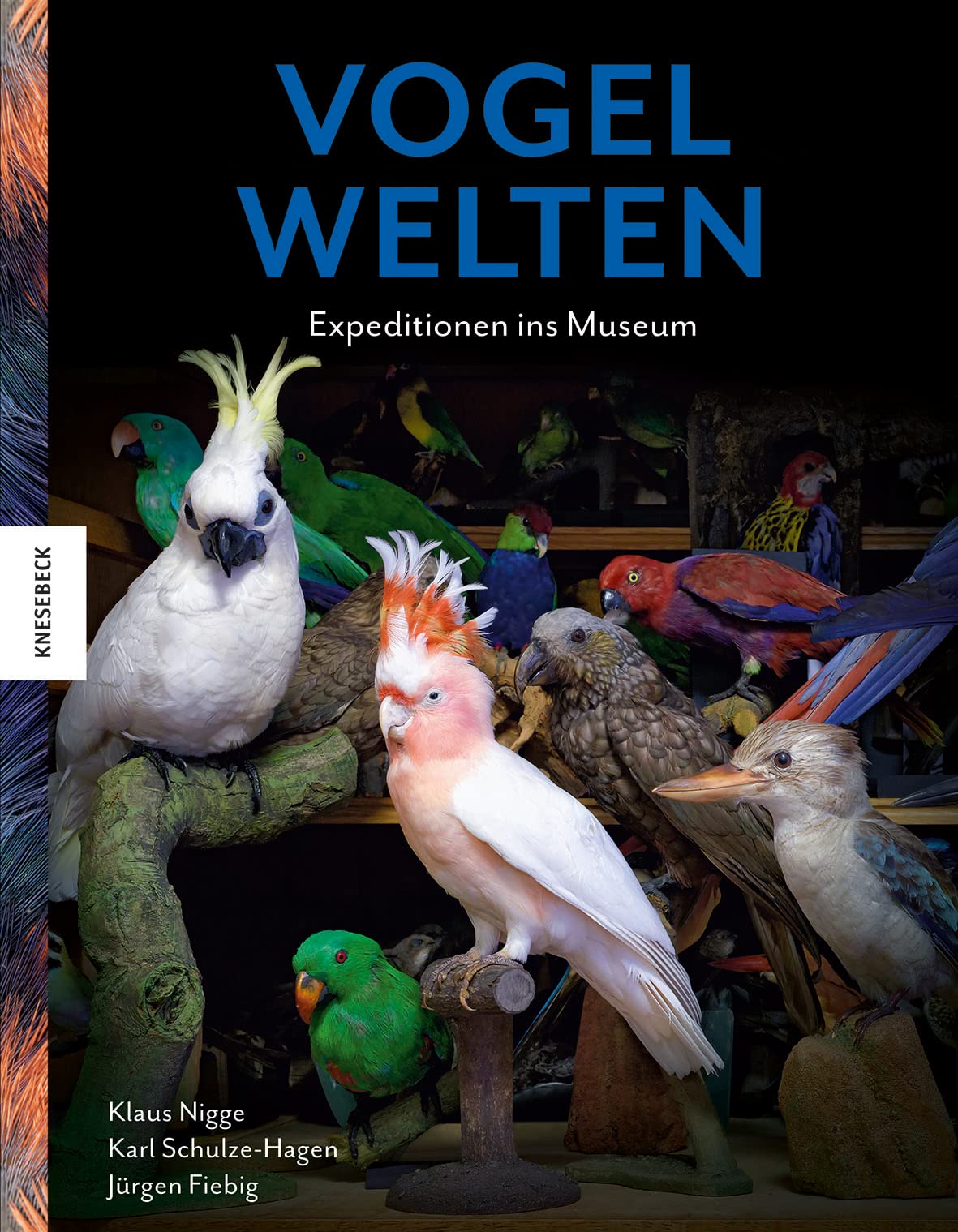 Vogelwelten Social Sciences Books