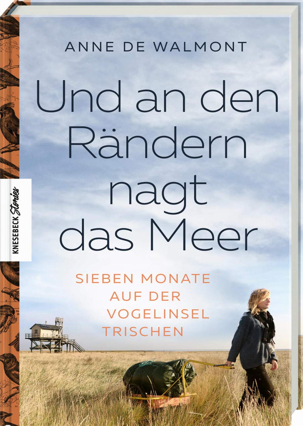 Und an den Rändern nagt das Meer Mathematics